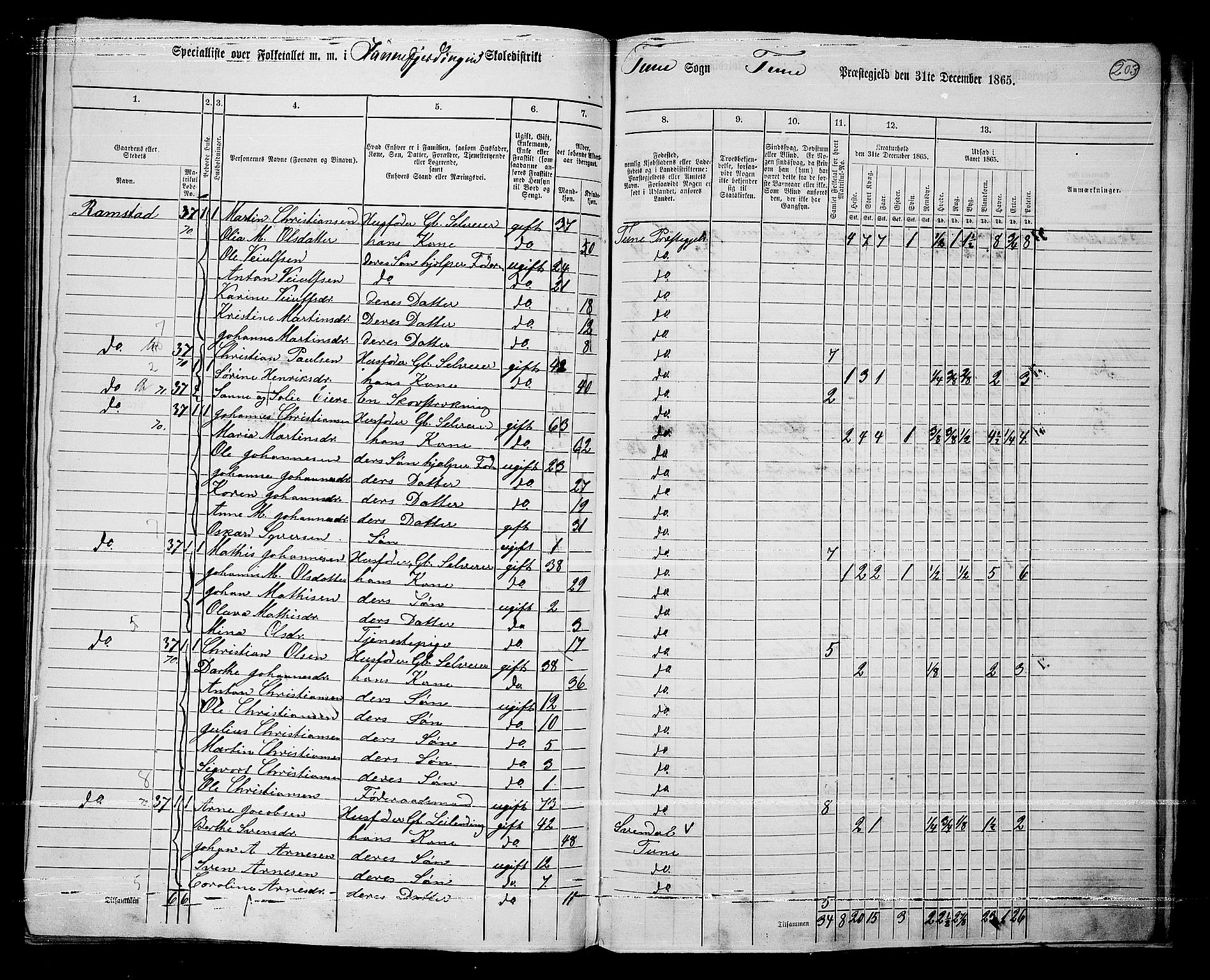 RA, 1865 census for Tune, 1865, p. 271