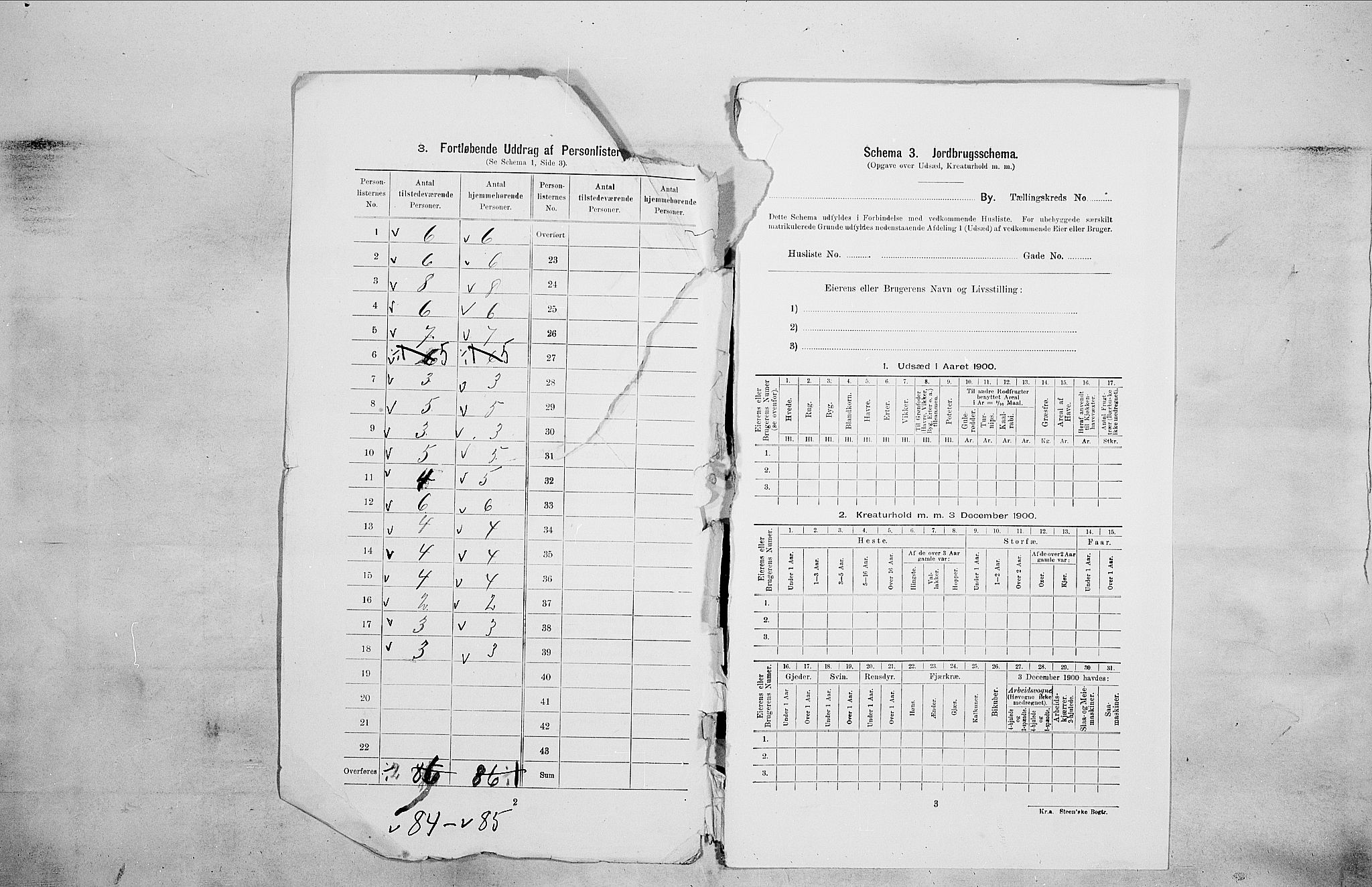 SAO, 1900 census for Kristiania, 1900, p. 65602