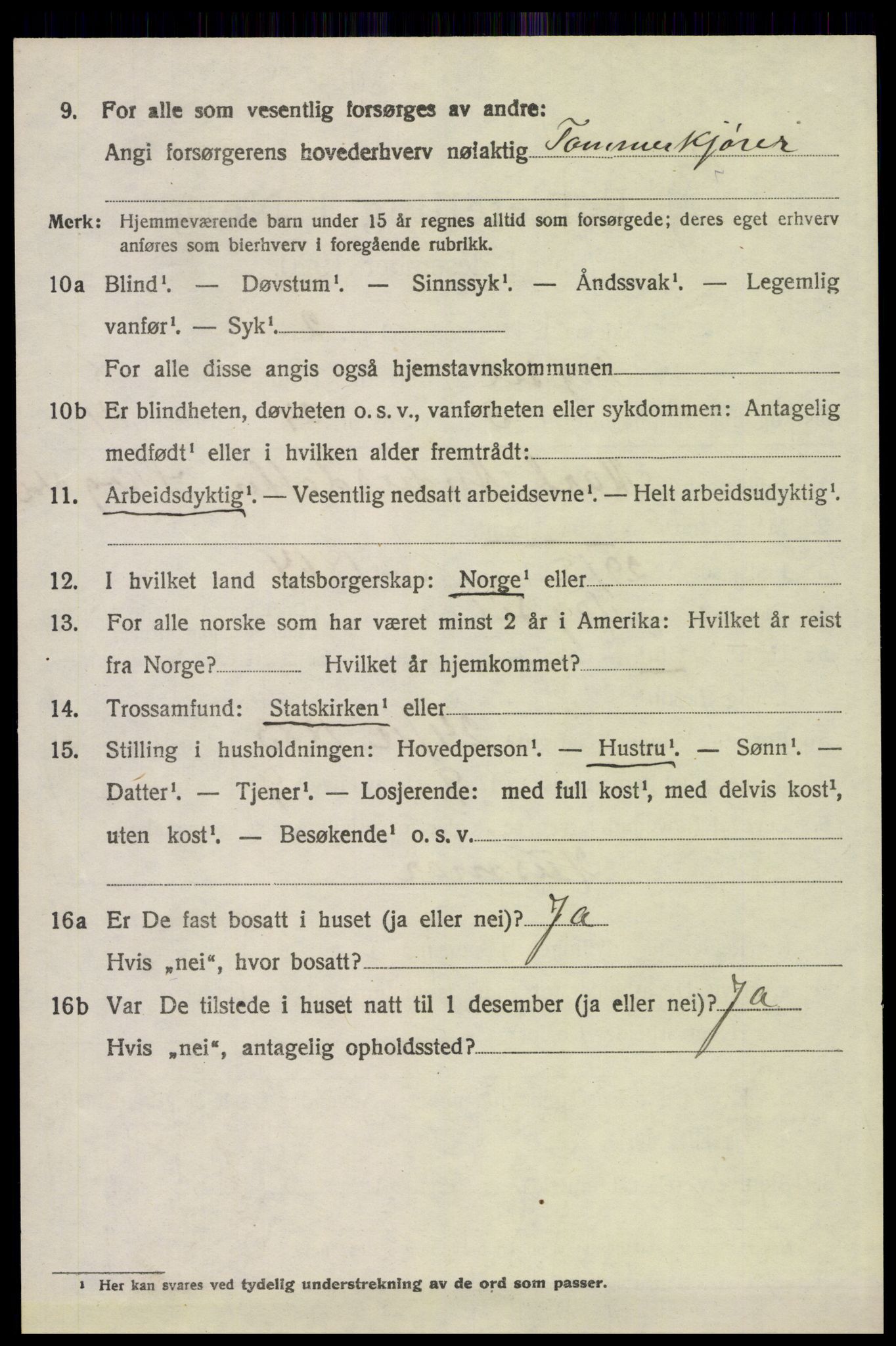 SAH, 1920 census for Trysil, 1920, p. 6254