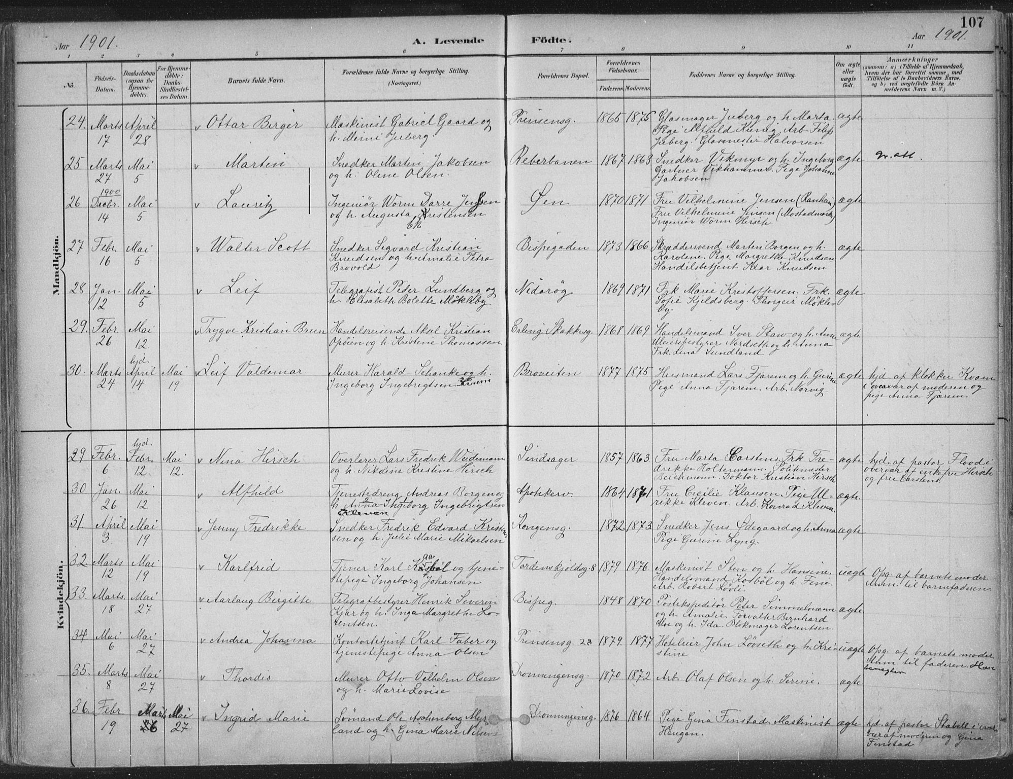 Ministerialprotokoller, klokkerbøker og fødselsregistre - Sør-Trøndelag, AV/SAT-A-1456/601/L0062: Parish register (official) no. 601A30, 1891-1911, p. 107