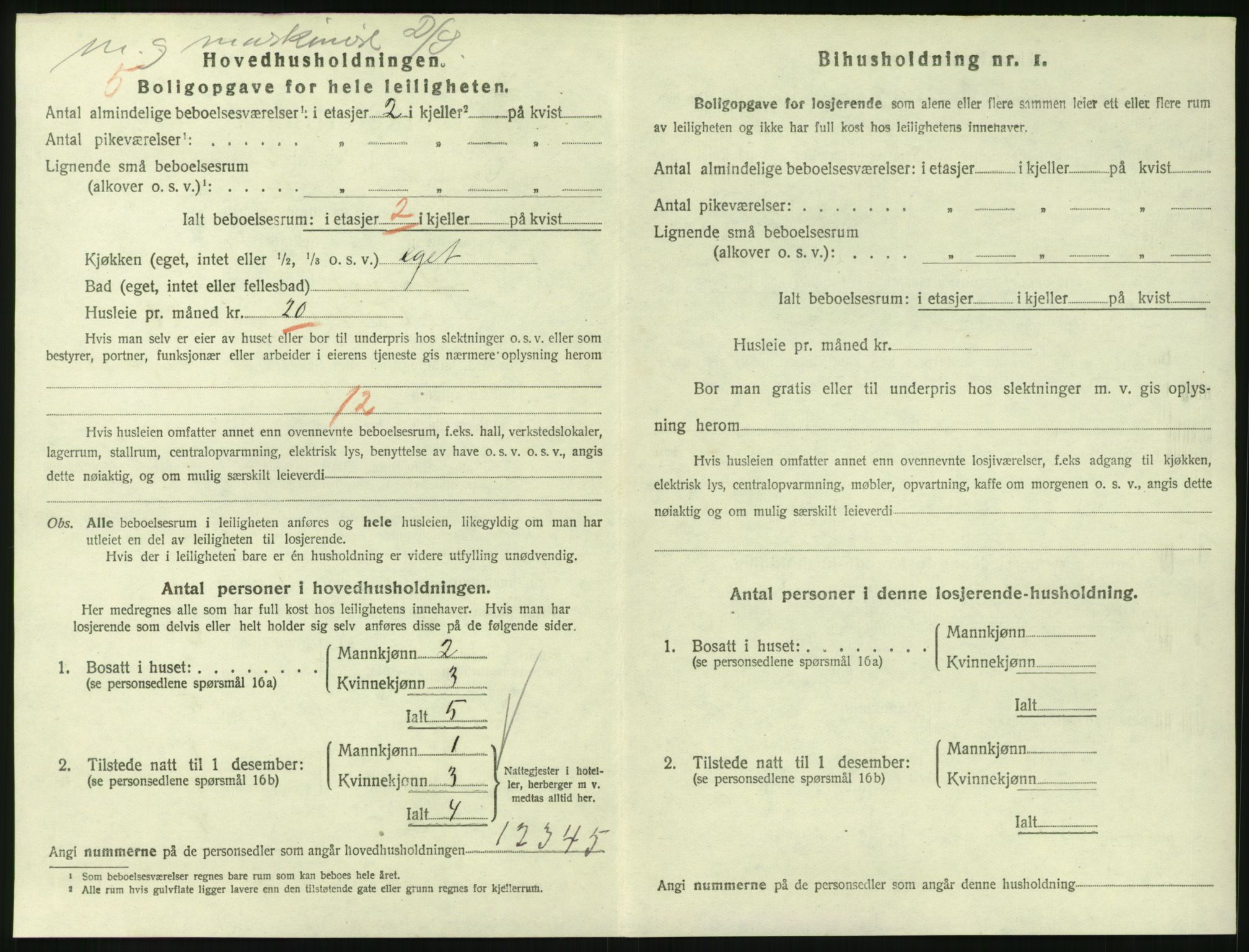 SAKO, 1920 census for Larvik, 1920, p. 3821