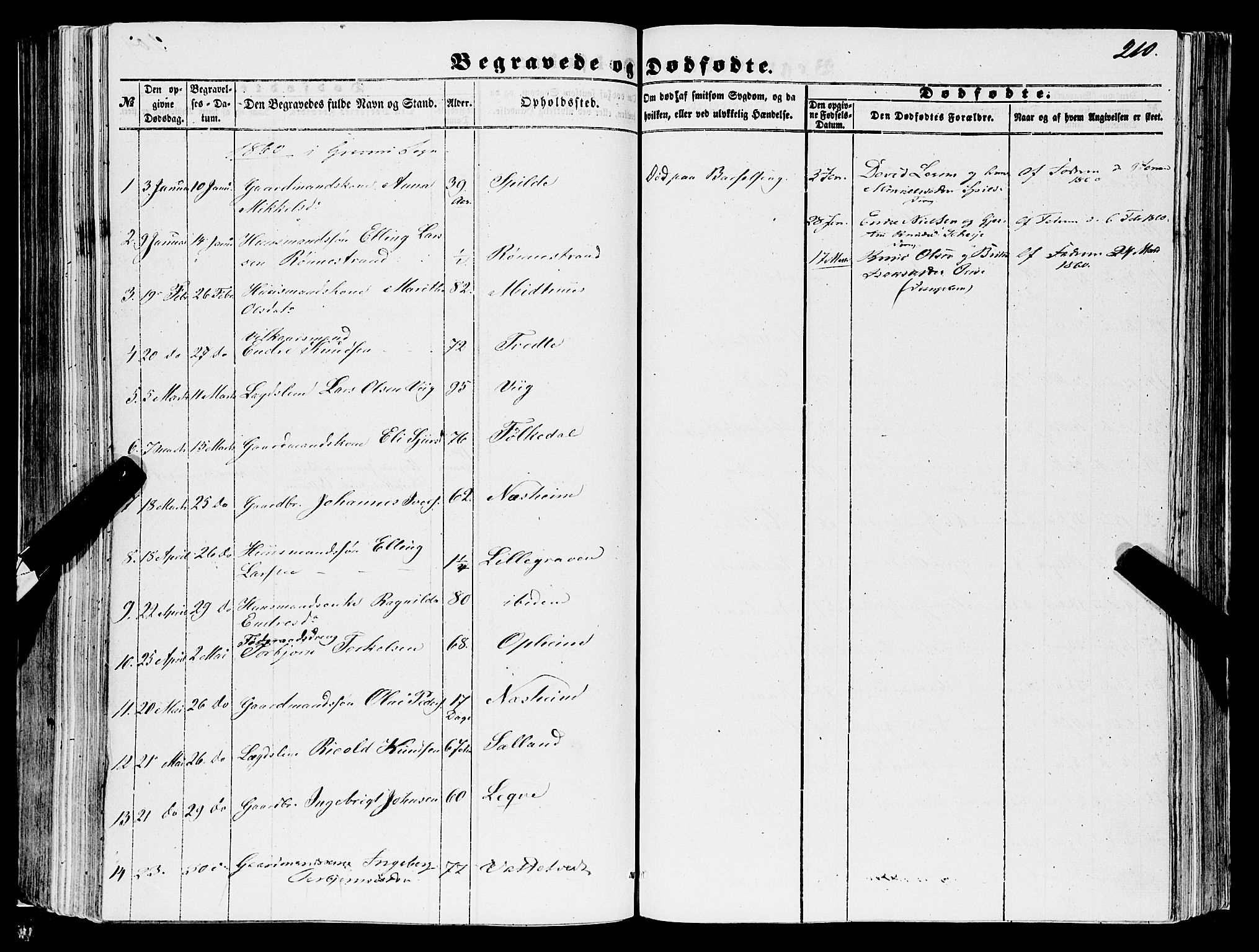 Ulvik sokneprestembete, SAB/A-78801/H/Haa: Parish register (official) no. A 13, 1853-1863, p. 210