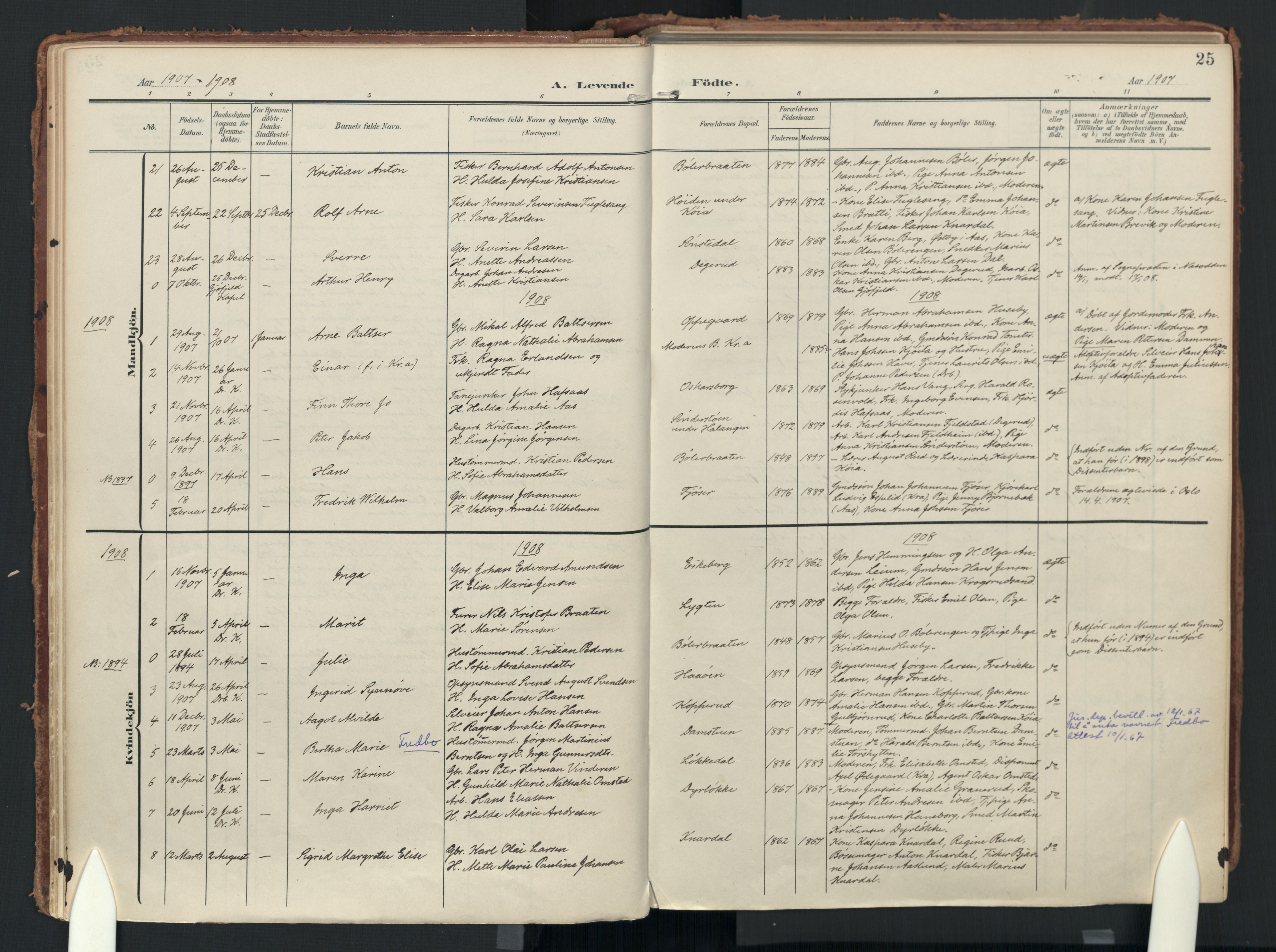 Drøbak prestekontor Kirkebøker, SAO/A-10142a/F/Fc/L0003: Parish register (official) no. III 3, 1901-1920, p. 25