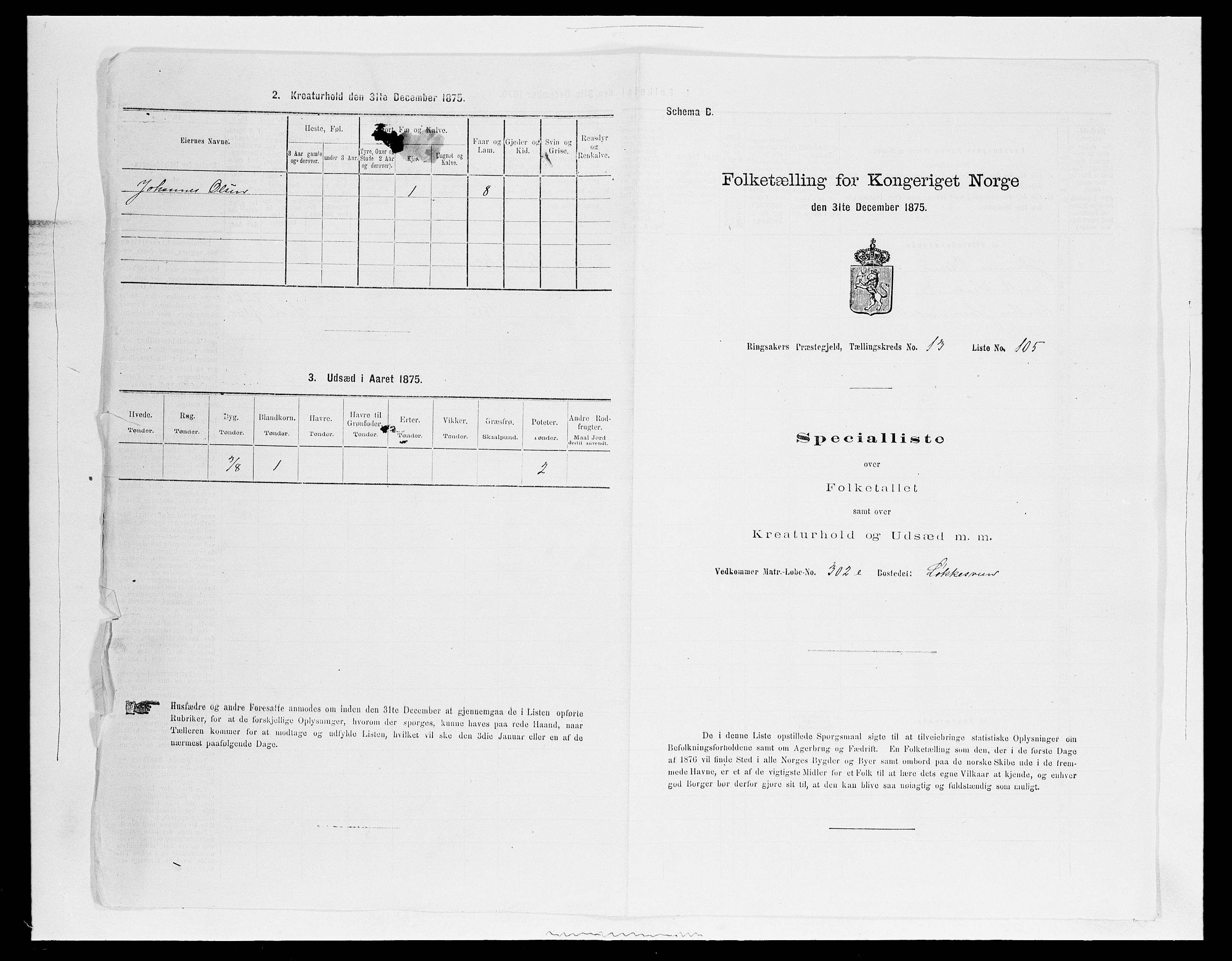 SAH, 1875 census for 0412P Ringsaker, 1875, p. 2819