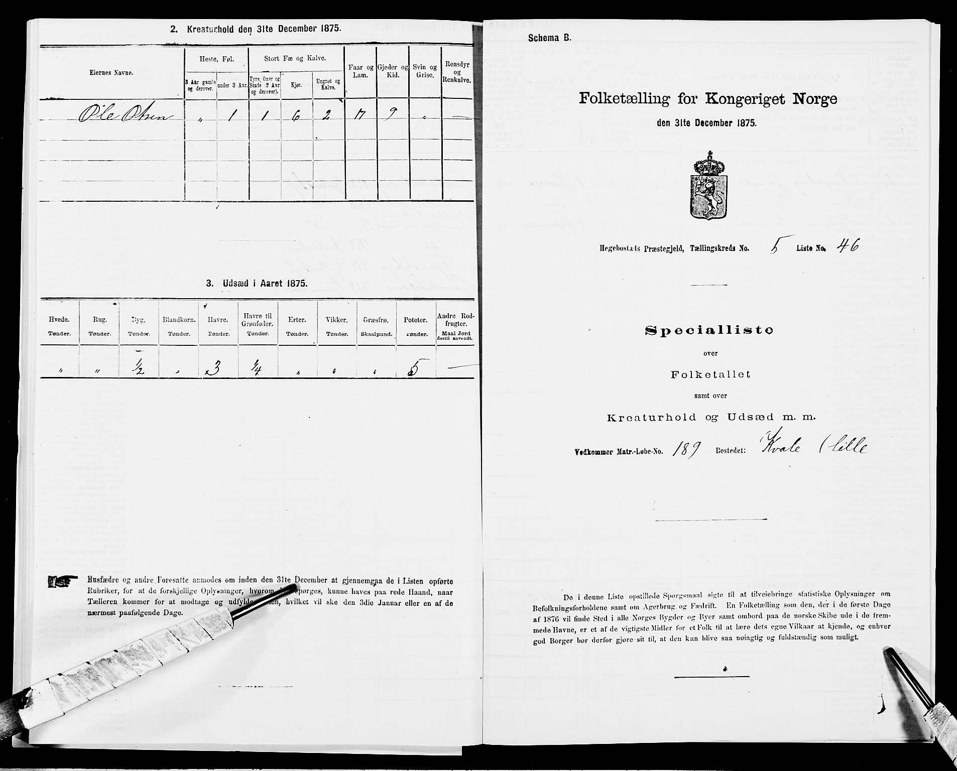 SAK, 1875 census for 1034P Hægebostad, 1875, p. 561