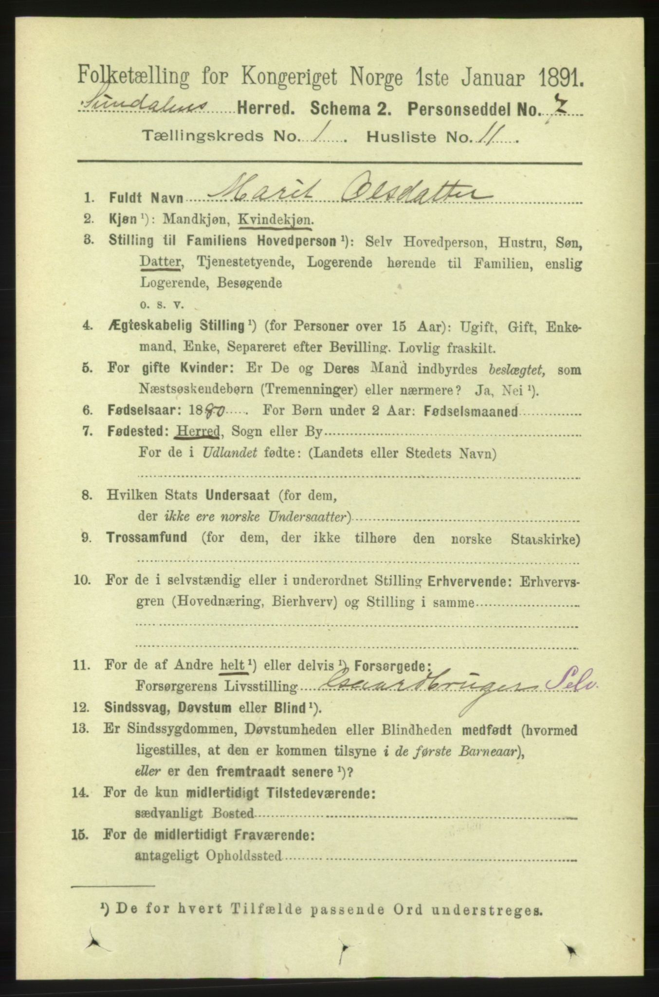 RA, 1891 census for 1563 Sunndal, 1891, p. 117