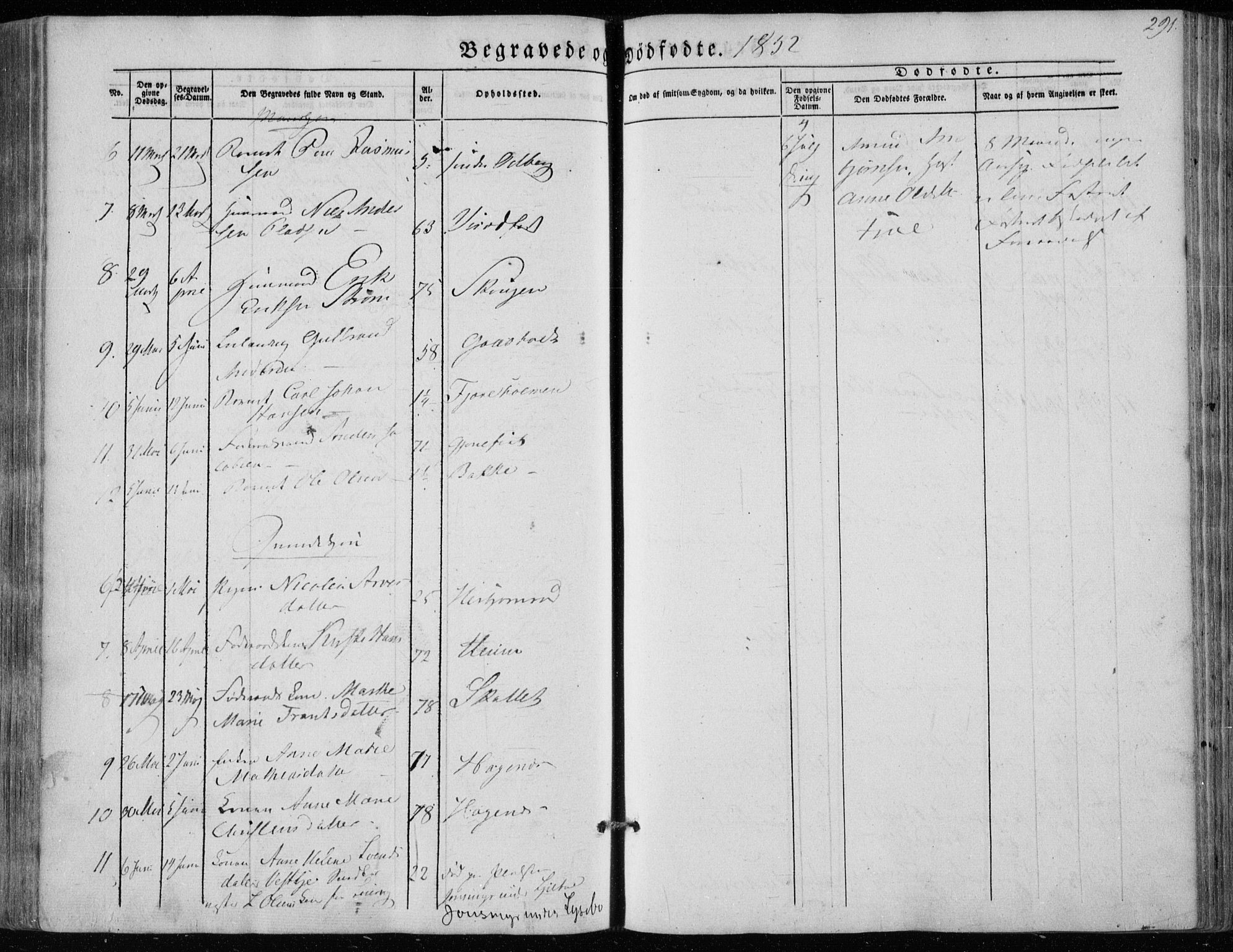 Hedrum kirkebøker, AV/SAKO-A-344/F/Fa/L0006: Parish register (official) no. I 6, 1849-1857, p. 291