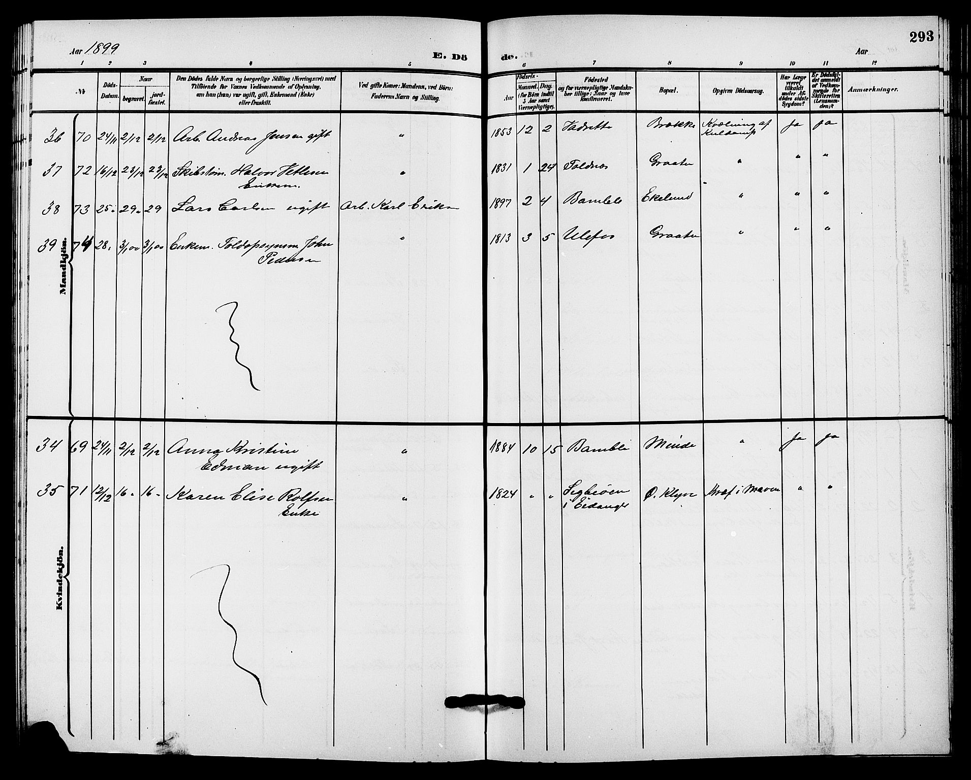 Solum kirkebøker, SAKO/A-306/G/Ga/L0008: Parish register (copy) no. I 8, 1898-1909, p. 293