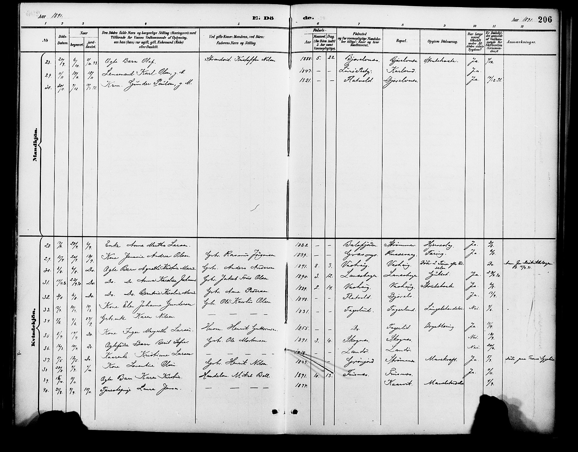 Lenvik sokneprestembete, SATØ/S-1310/H/Ha/Haa/L0013kirke: Parish register (official) no. 13, 1890-1898, p. 206