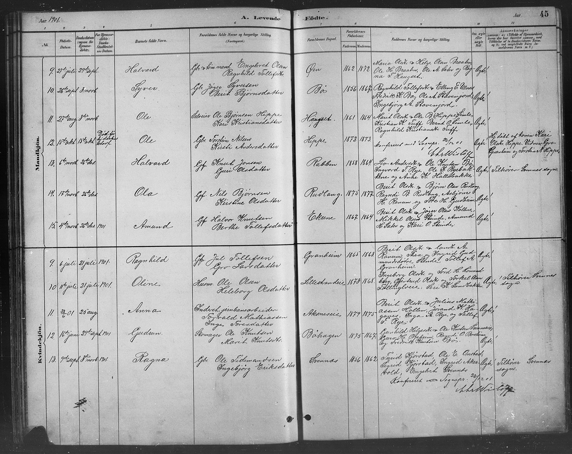Nord-Aurdal prestekontor, SAH/PREST-132/H/Ha/Hab/L0008: Parish register (copy) no. 8, 1883-1916, p. 45