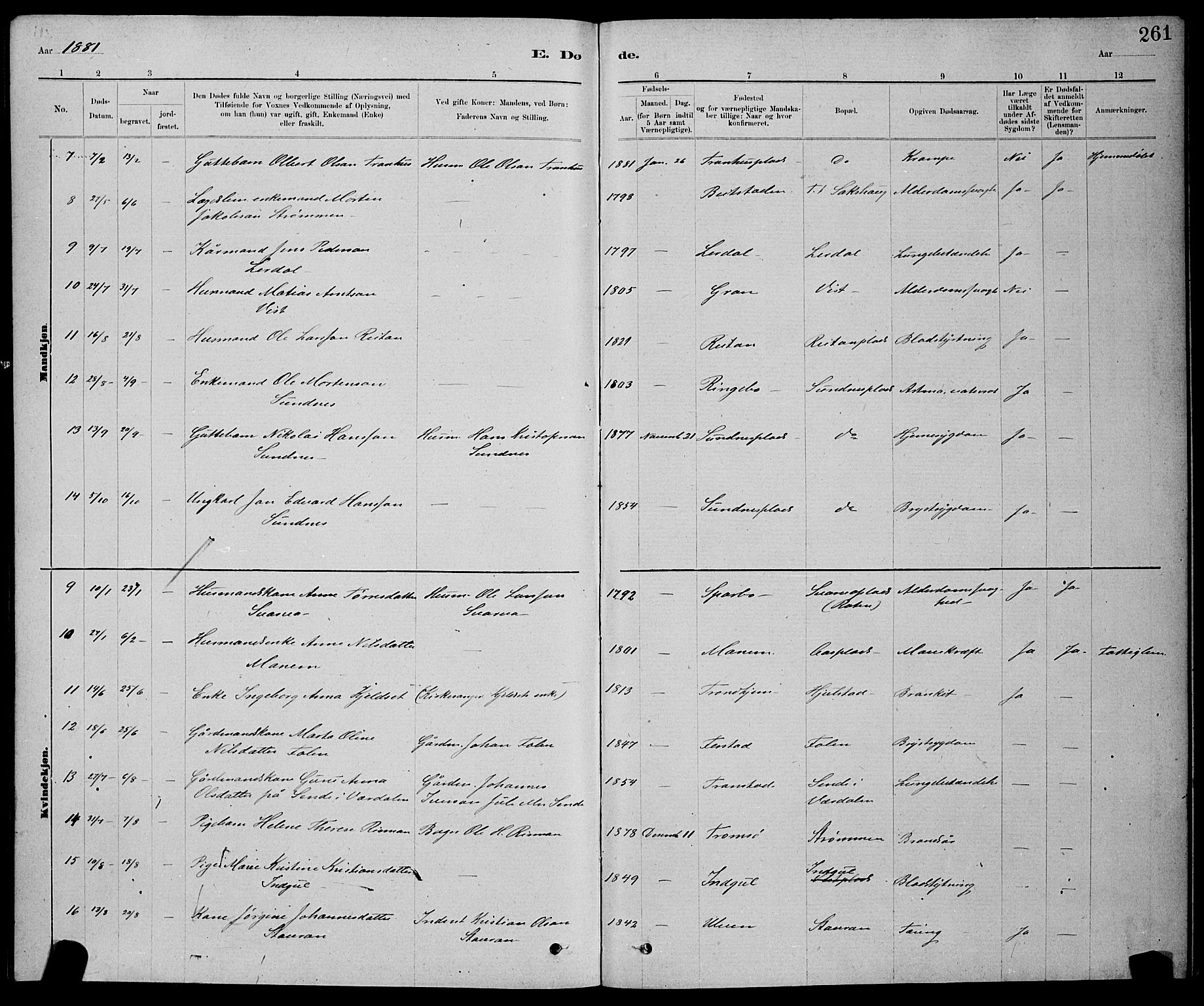 Ministerialprotokoller, klokkerbøker og fødselsregistre - Nord-Trøndelag, AV/SAT-A-1458/730/L0301: Parish register (copy) no. 730C04, 1880-1897, p. 261