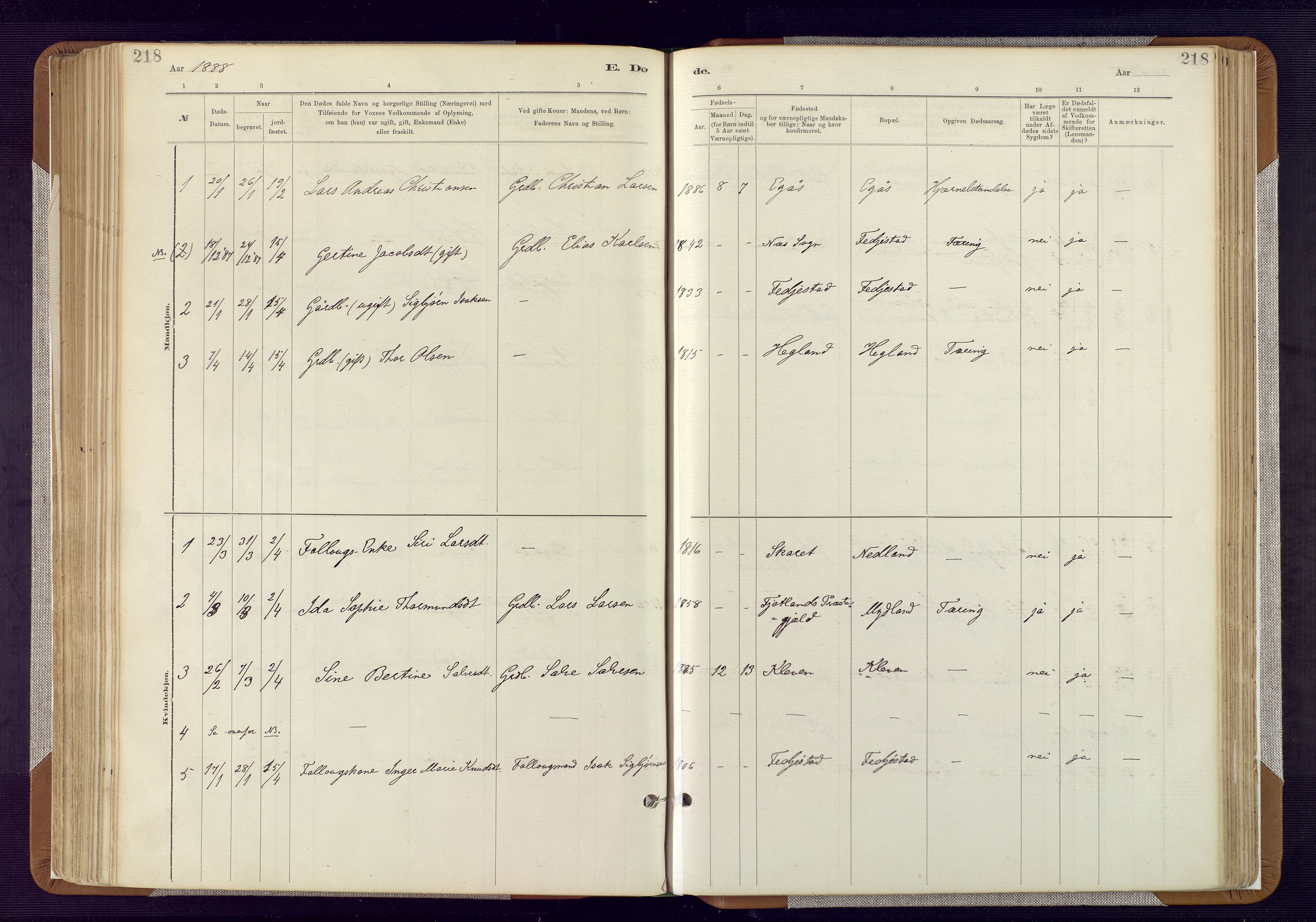Bakke sokneprestkontor, SAK/1111-0002/F/Fa/Fab/L0003: Parish register (official) no. A 3, 1884-1921, p. 218
