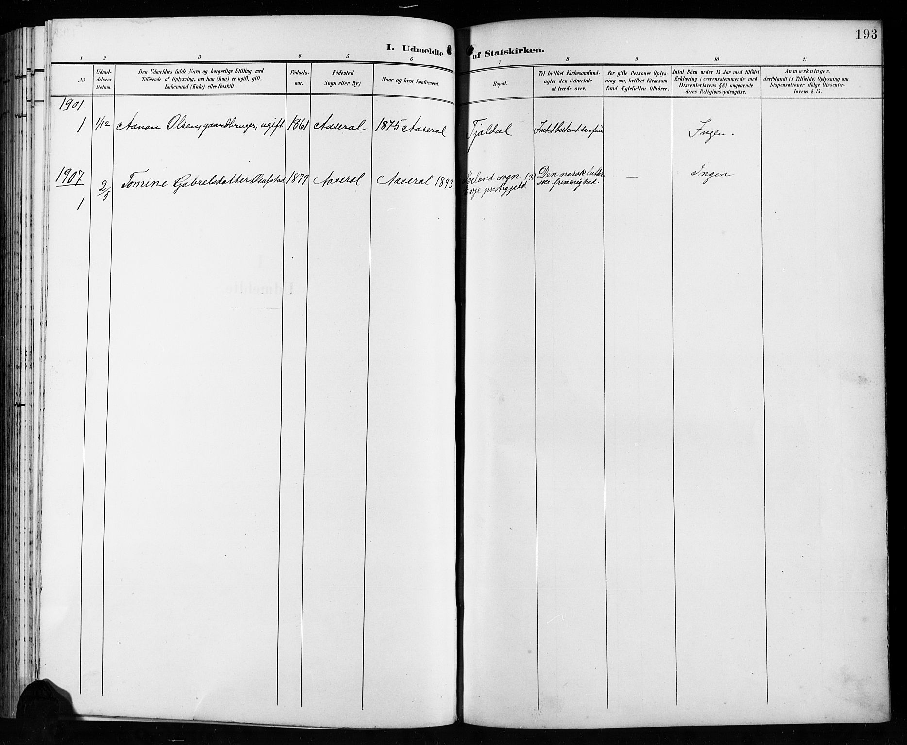 Åseral sokneprestkontor, AV/SAK-1111-0051/F/Fb/L0003: Parish register (copy) no. B 3, 1900-1919, p. 193