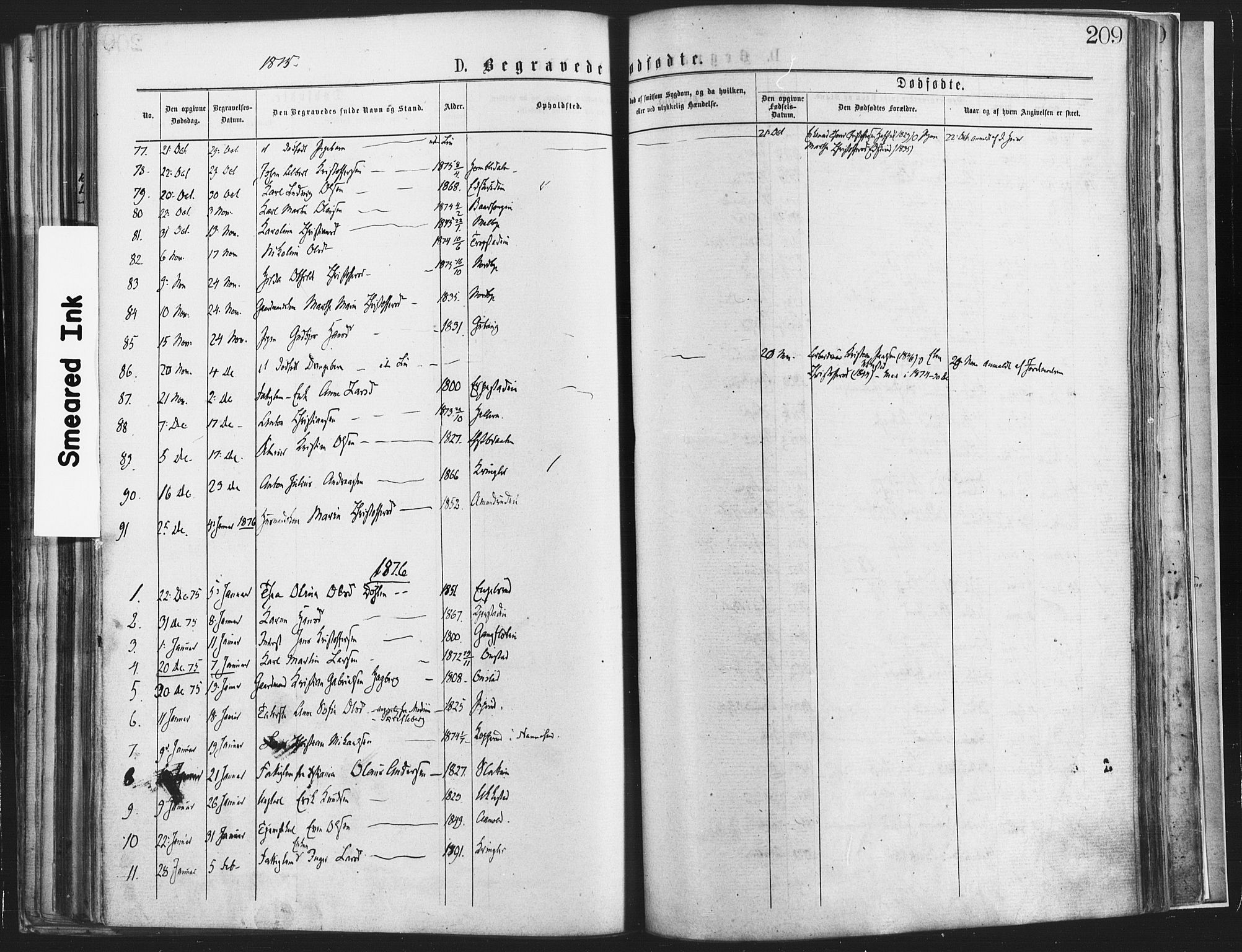 Nannestad prestekontor Kirkebøker, SAO/A-10414a/F/Fa/L0013: Parish register (official) no. I 13, 1873-1880, p. 209