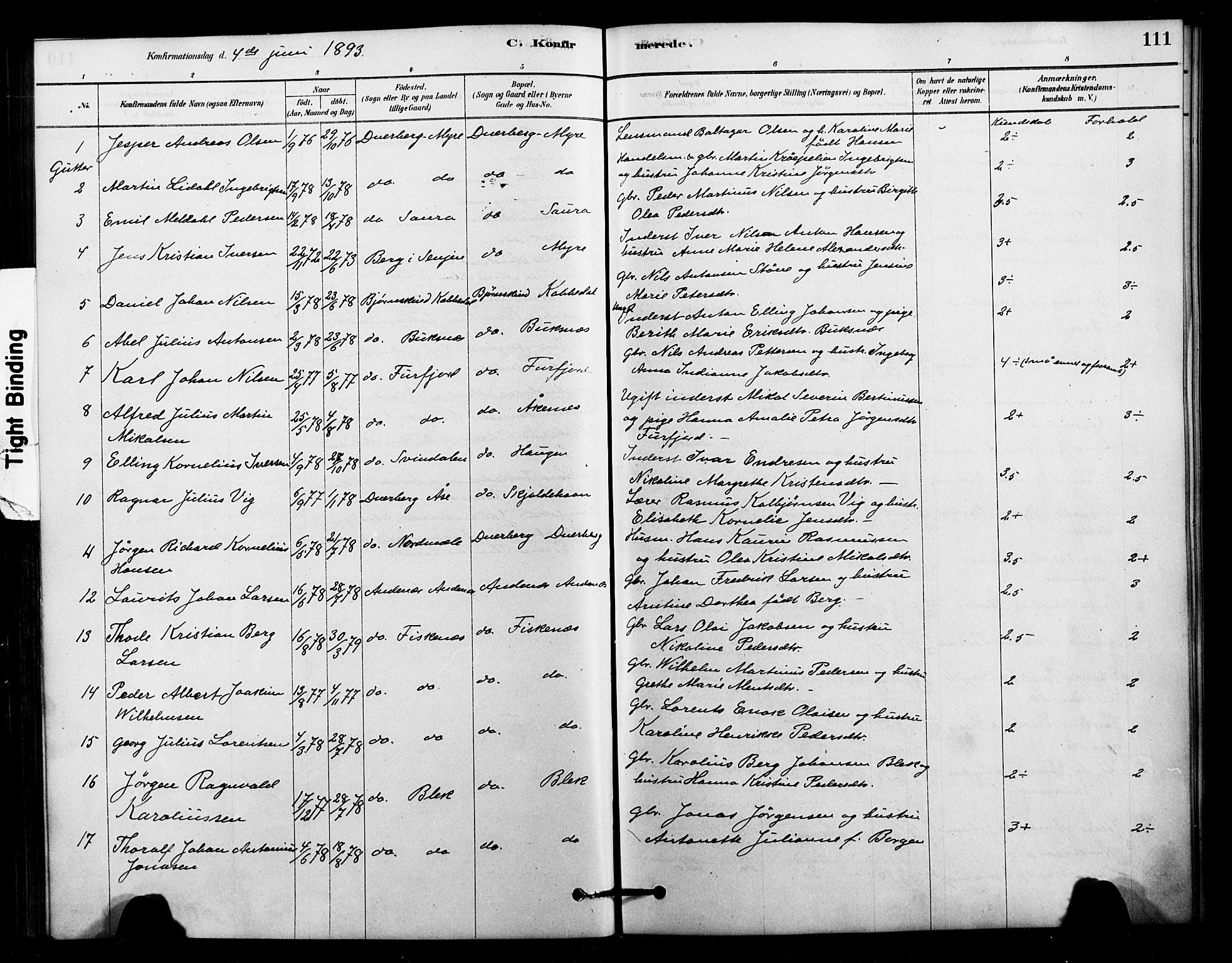 Ministerialprotokoller, klokkerbøker og fødselsregistre - Nordland, AV/SAT-A-1459/897/L1399: Parish register (official) no. 897C06, 1881-1896, p. 111