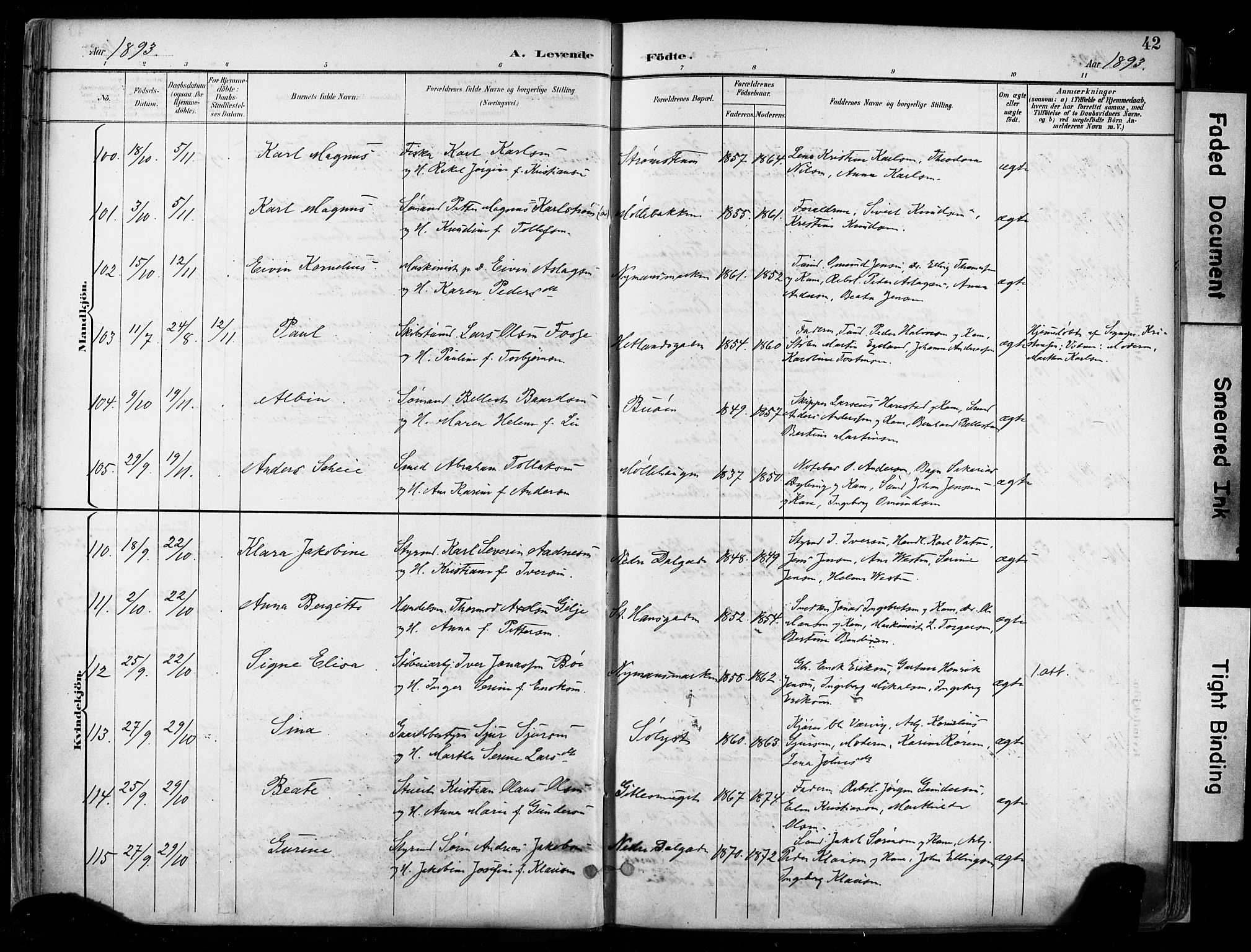 St. Johannes sokneprestkontor, AV/SAST-A-101814/001/30/30BA/L0004: Parish register (official) no. A 4, 1891-1899, p. 42