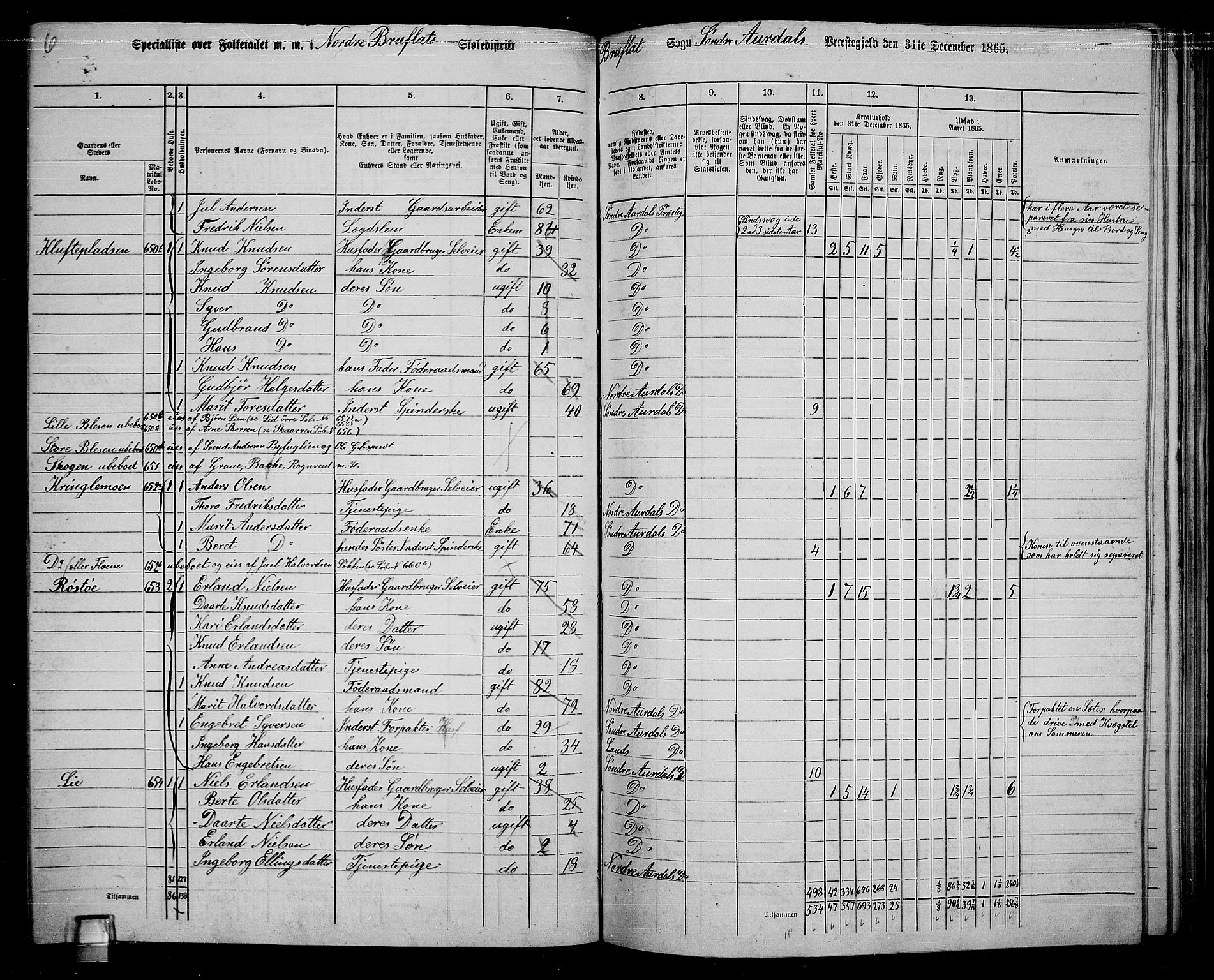 RA, 1865 census for Sør-Aurdal, 1865, p. 203