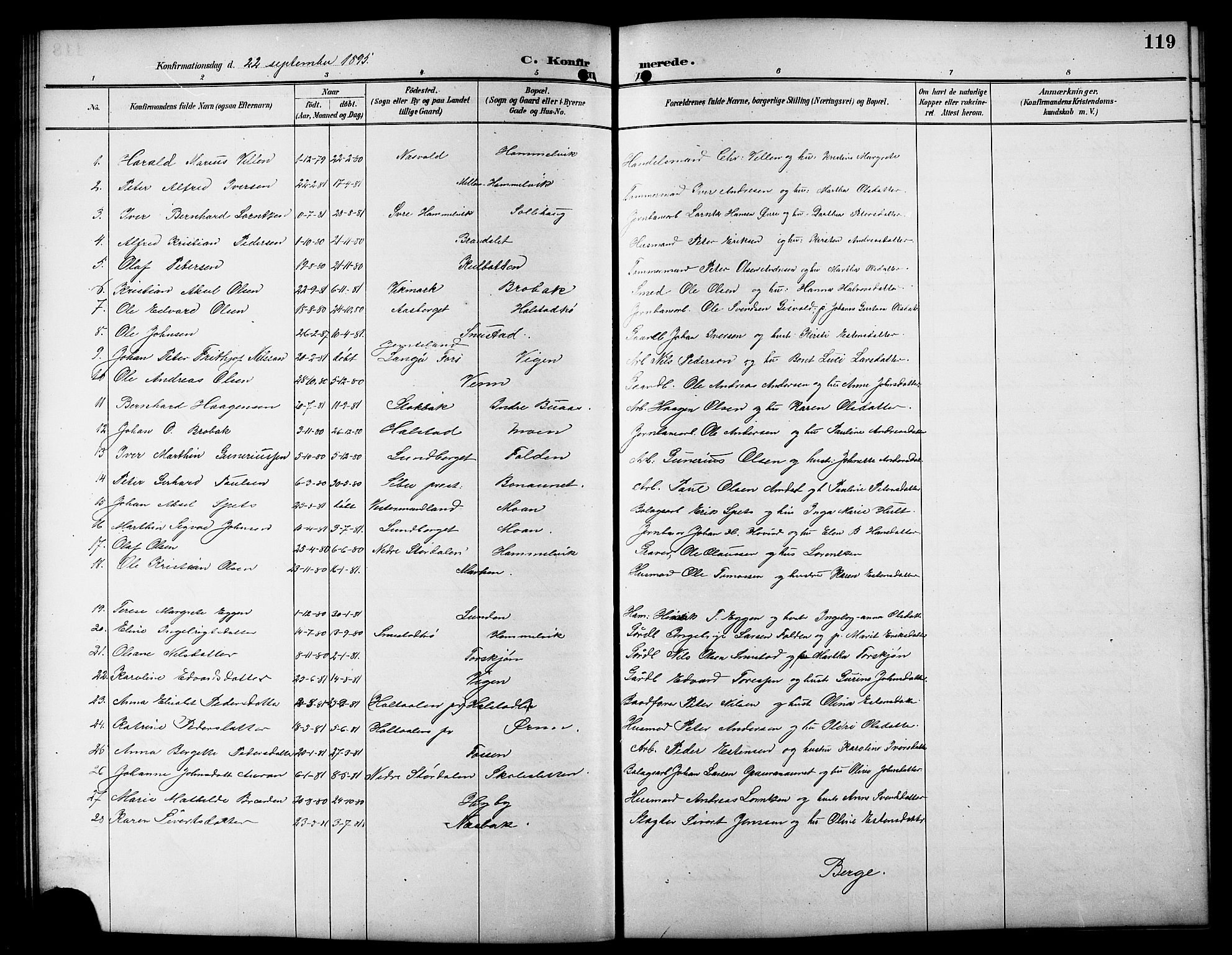 Ministerialprotokoller, klokkerbøker og fødselsregistre - Sør-Trøndelag, SAT/A-1456/617/L0431: Parish register (copy) no. 617C01, 1889-1910, p. 119