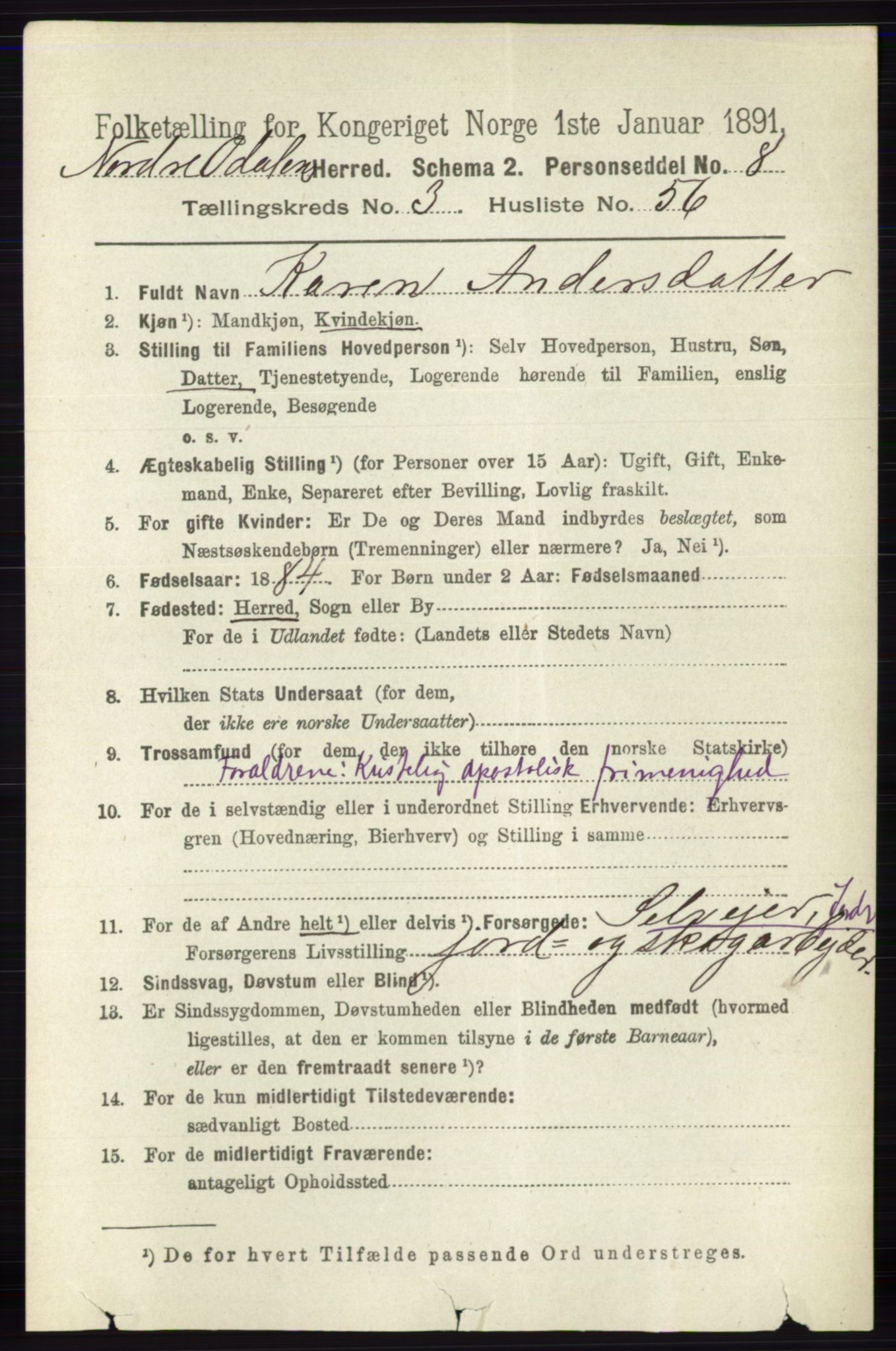 RA, 1891 census for 0418 Nord-Odal, 1891, p. 1225