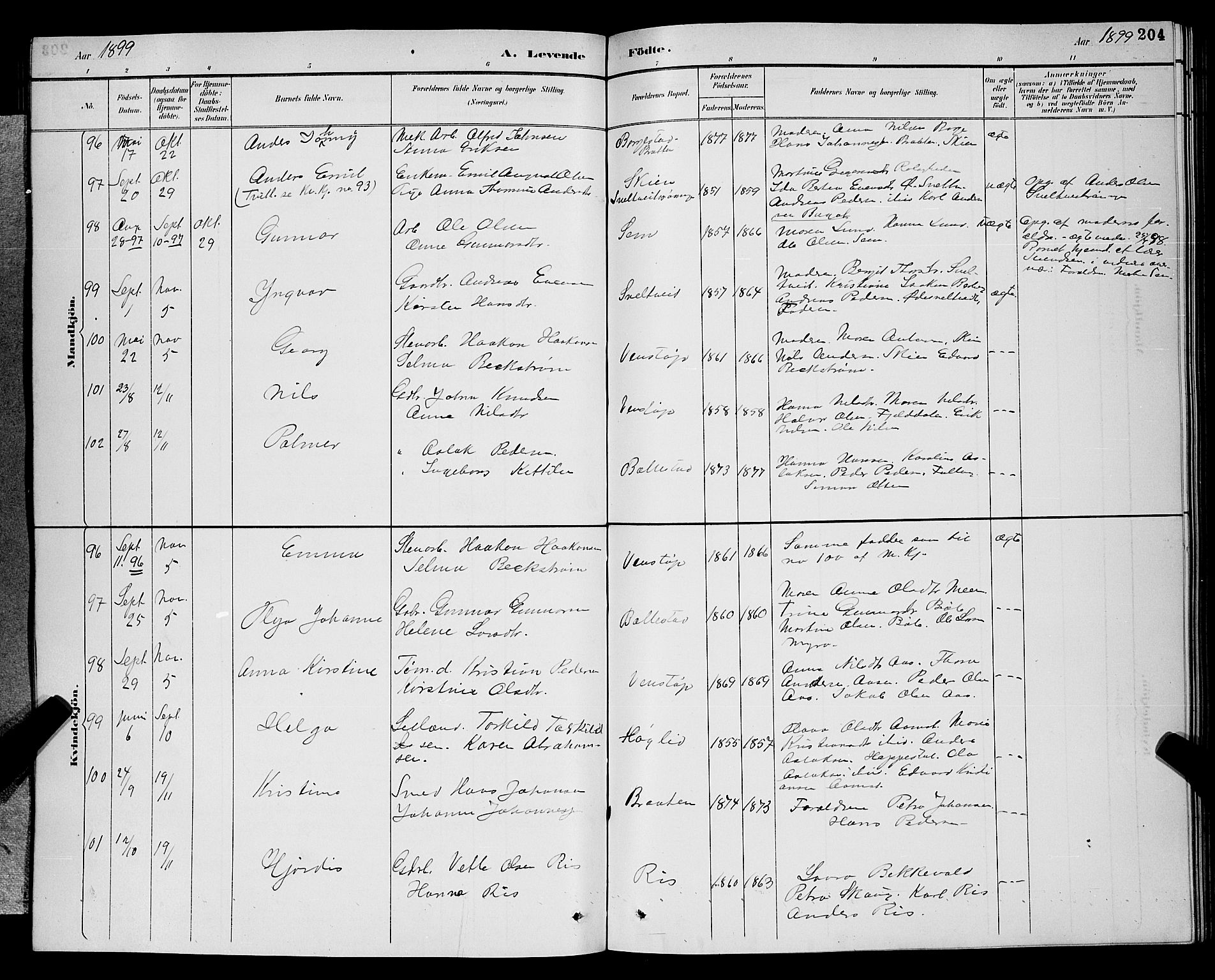 Gjerpen kirkebøker, AV/SAKO-A-265/G/Ga/L0002: Parish register (copy) no. I 2, 1883-1900, p. 204