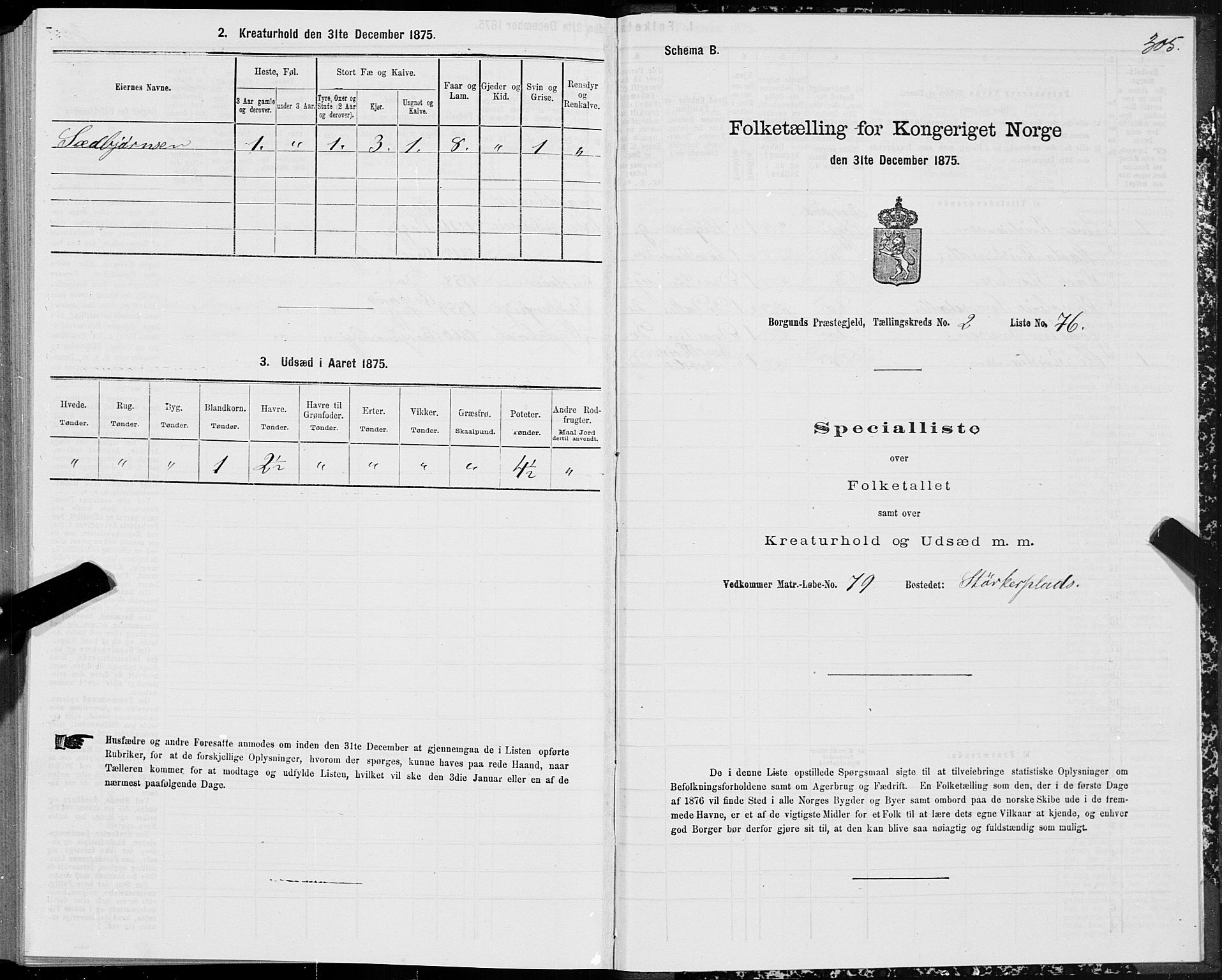 SAT, 1875 census for 1531P Borgund, 1875, p. 1305