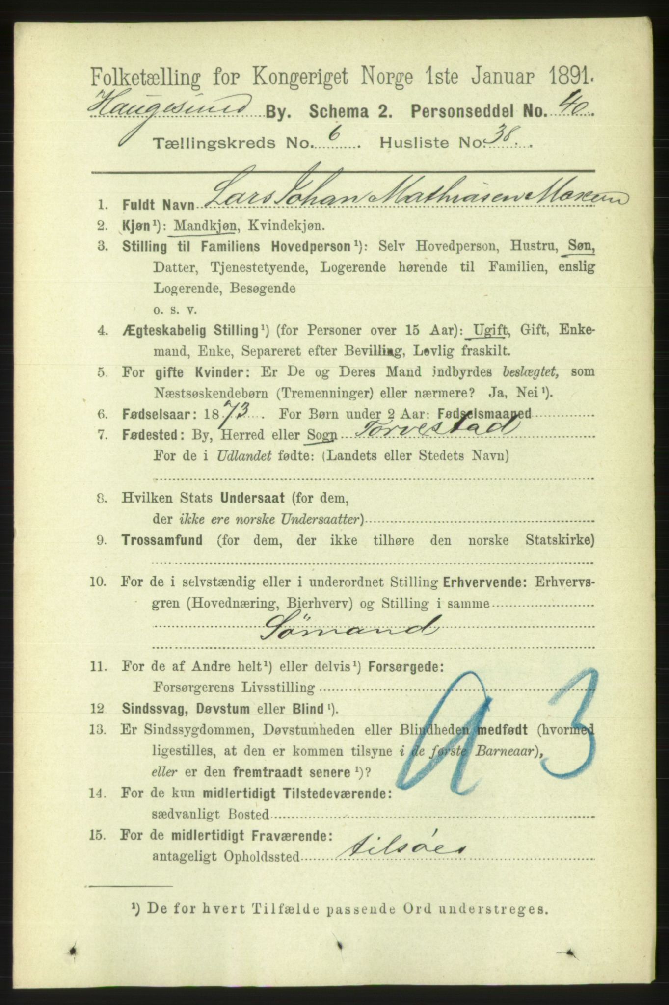 RA, 1891 census for 1106 Haugesund, 1891, p. 3036