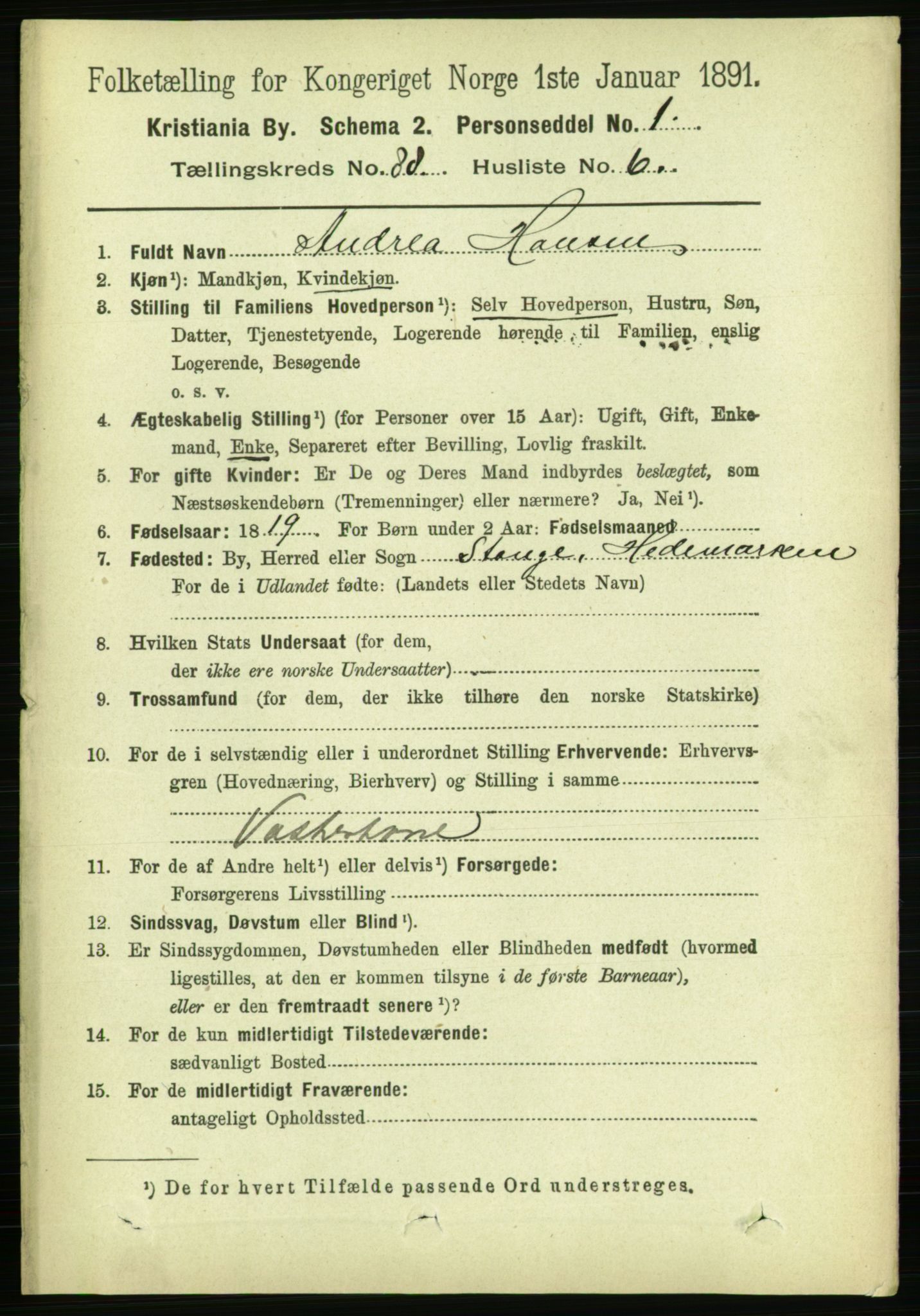 RA, 1891 census for 0301 Kristiania, 1891, p. 43869