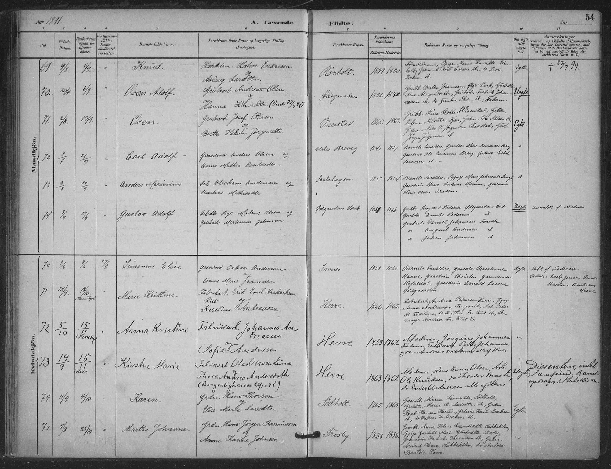 Bamble kirkebøker, AV/SAKO-A-253/F/Fa/L0008: Parish register (official) no. I 8, 1888-1900, p. 54