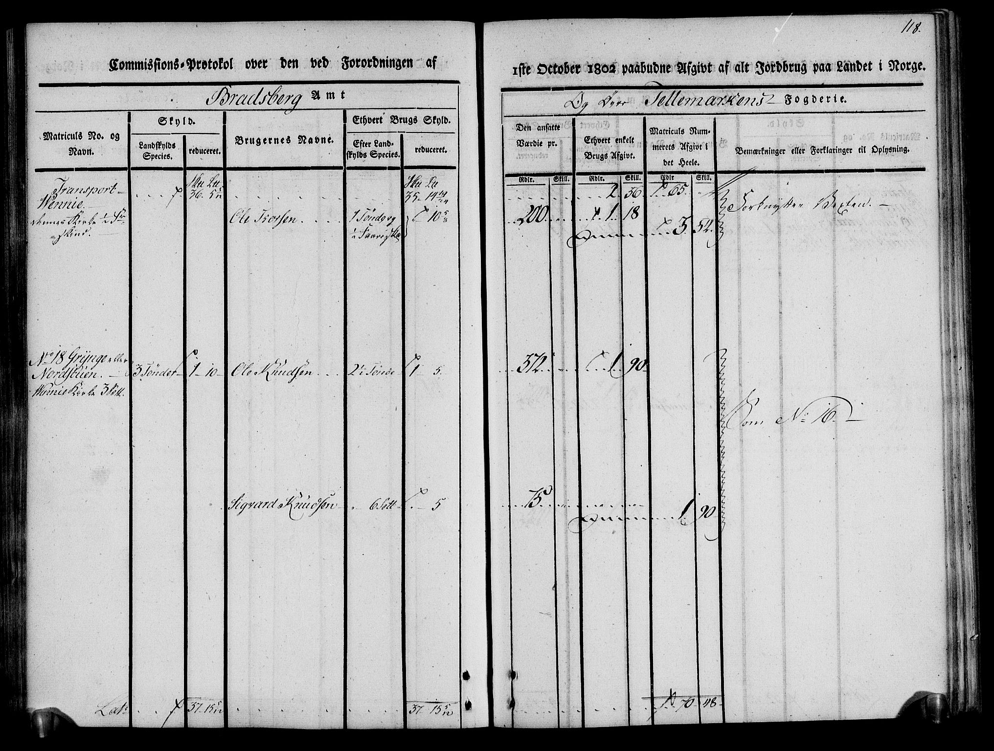 Rentekammeret inntil 1814, Realistisk ordnet avdeling, AV/RA-EA-4070/N/Ne/Nea/L0075: Øvre Telemarken fogderi. Kommisjonsprotokoll for fogderiets vestre del - Kviteseid, Vinje, Moland [):Fyresdal] og Lårdal prestegjeld., 1803, p. 119