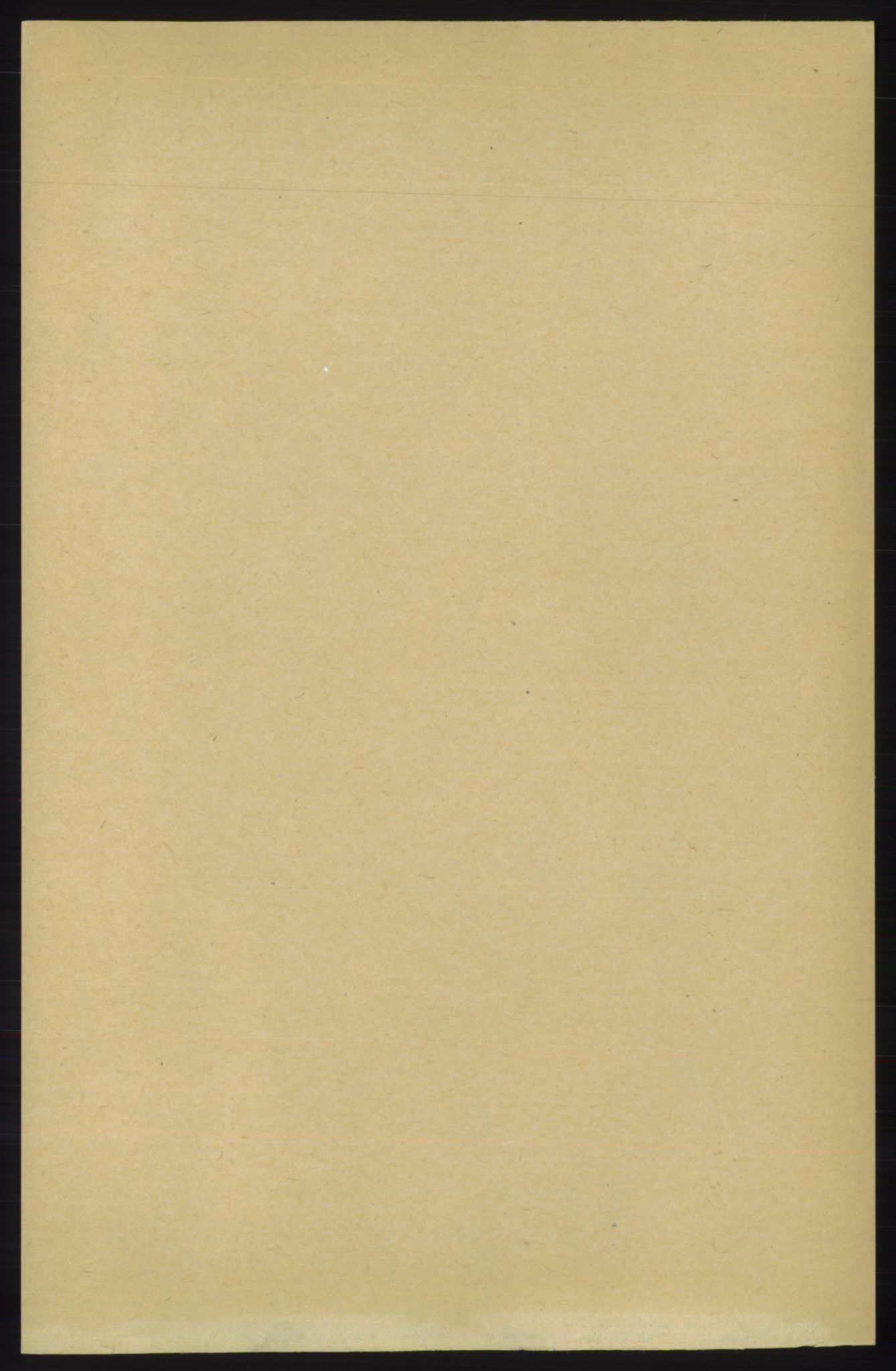 RA, 1891 census for 1211 Etne, 1891, p. 1017