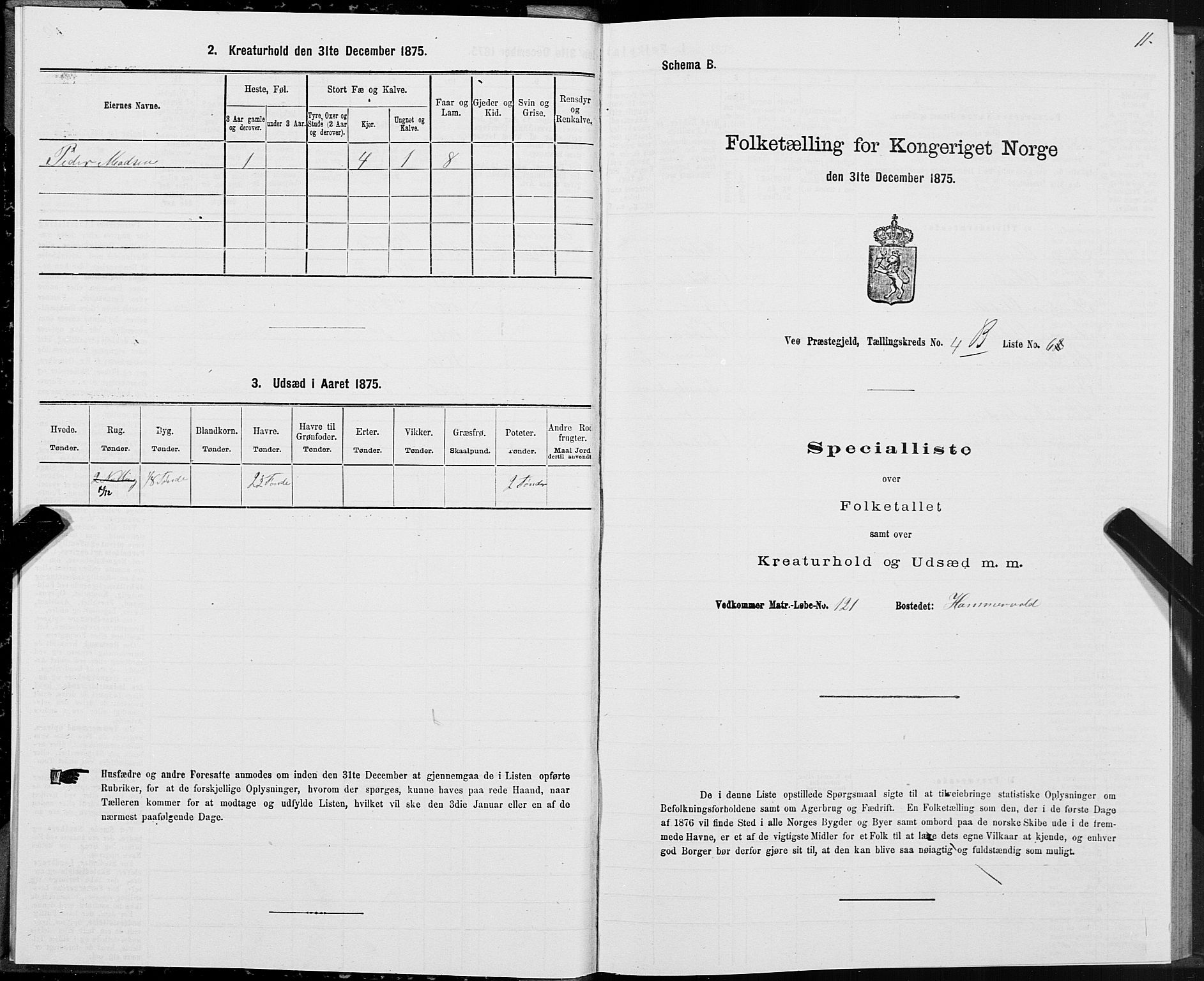 SAT, 1875 census for 1541P Veøy, 1875, p. 3011