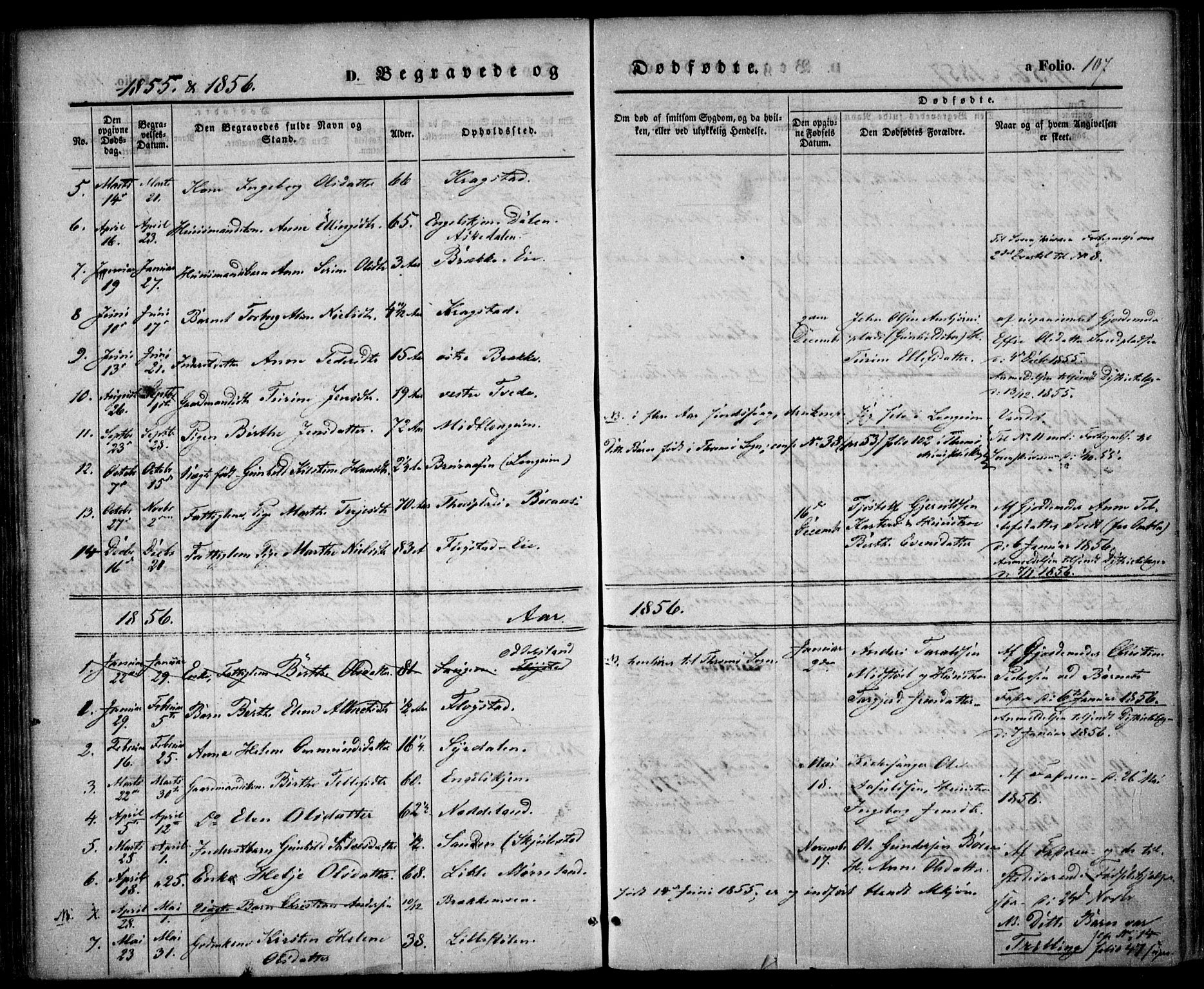 Austre Moland sokneprestkontor, SAK/1111-0001/F/Fa/Faa/L0007: Parish register (official) no. A 7, 1847-1857, p. 107