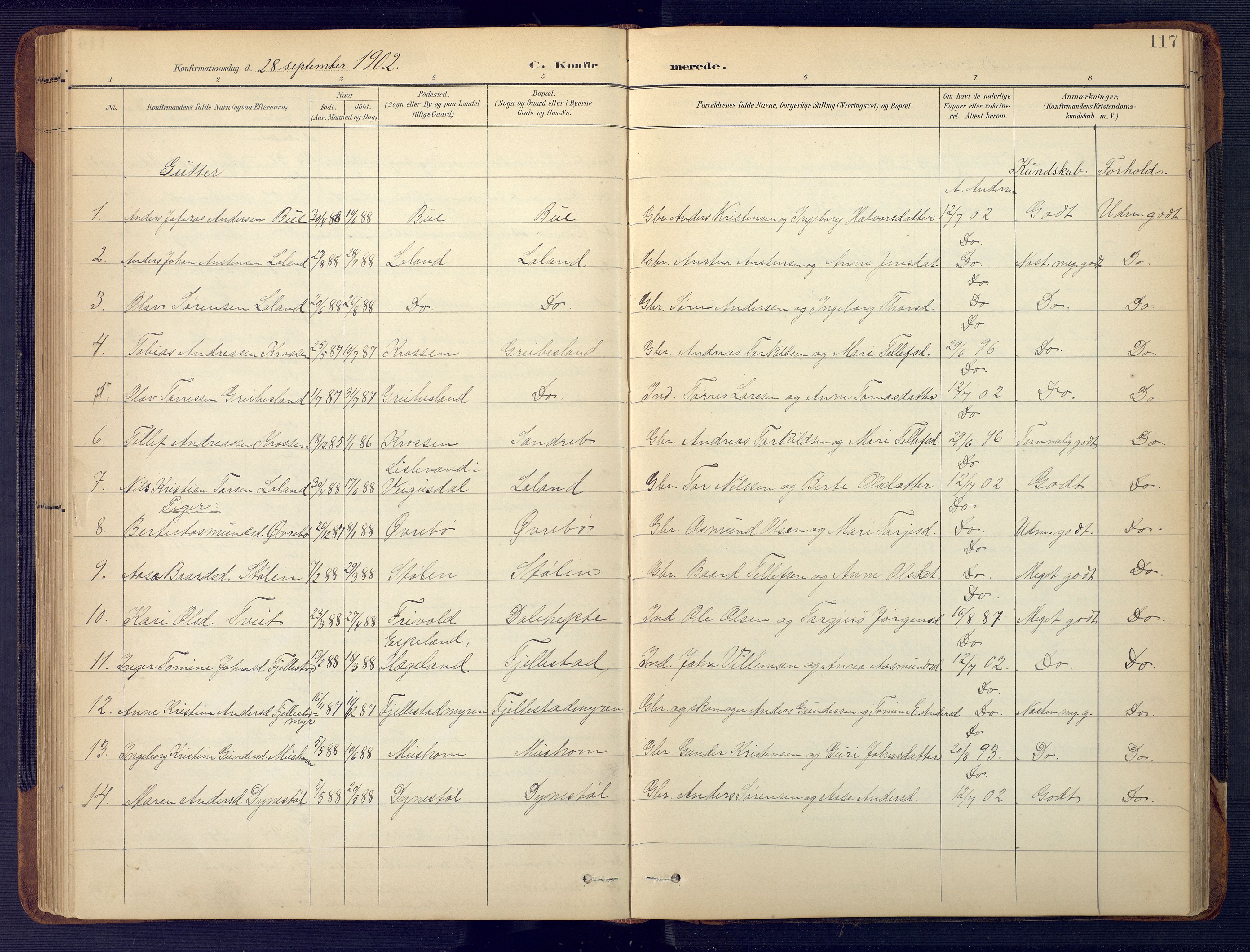 Vennesla sokneprestkontor, SAK/1111-0045/Fb/Fbc/L0003: Parish register (copy) no. B 3, 1895-1946, p. 117