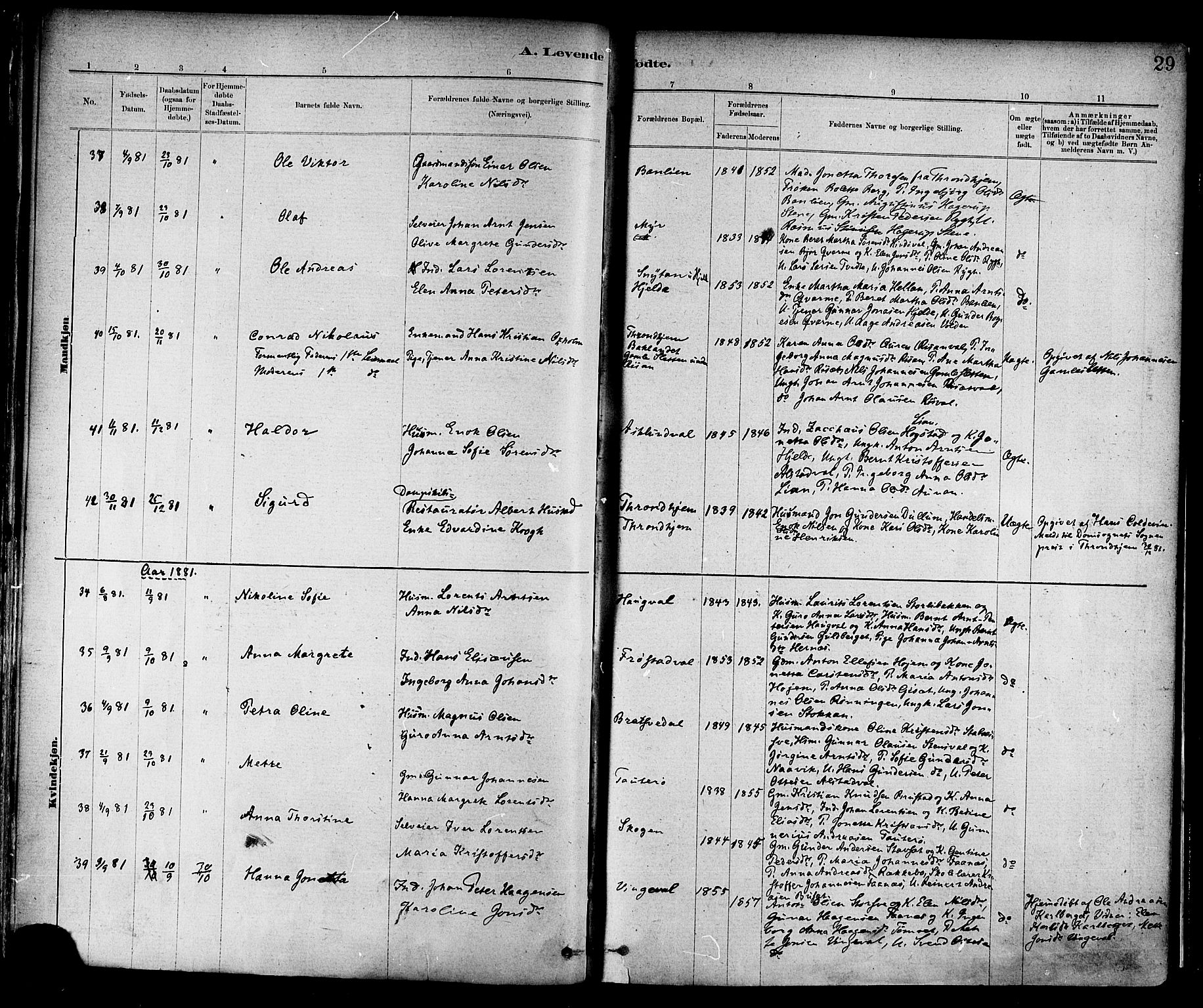 Ministerialprotokoller, klokkerbøker og fødselsregistre - Nord-Trøndelag, SAT/A-1458/713/L0120: Parish register (official) no. 713A09, 1878-1887, p. 29