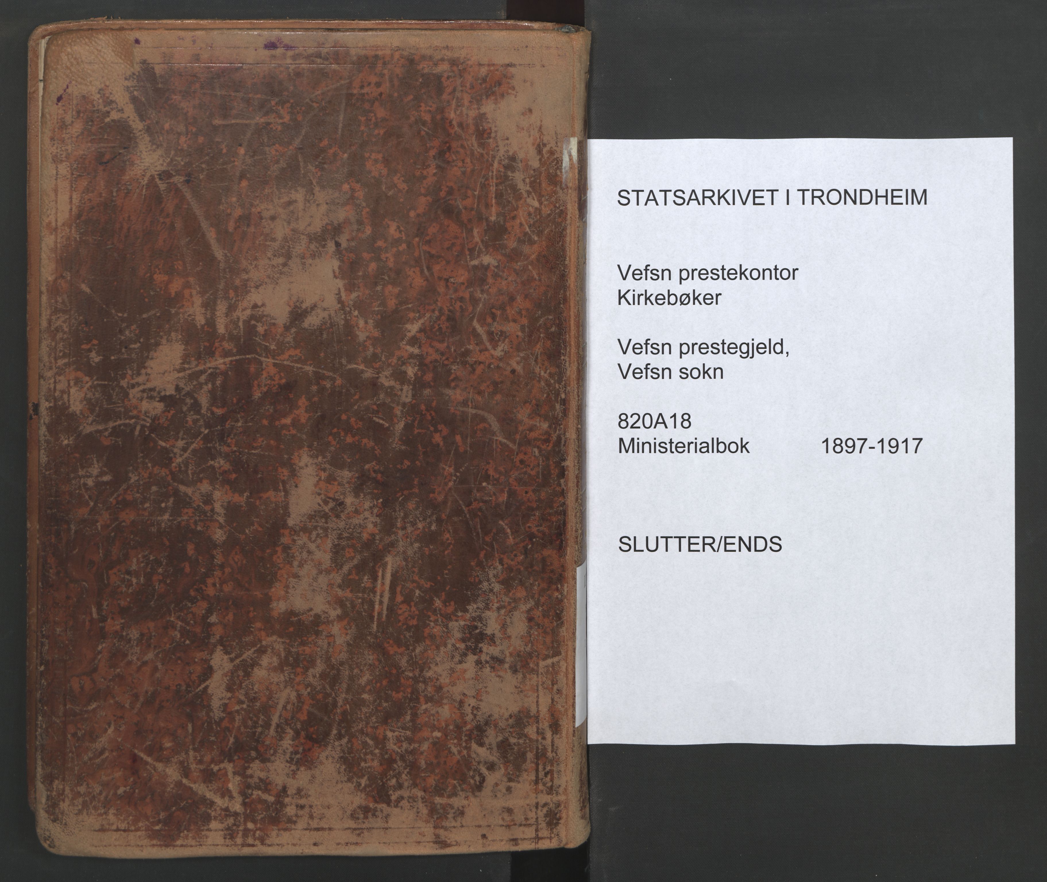 Ministerialprotokoller, klokkerbøker og fødselsregistre - Nordland, AV/SAT-A-1459/820/L0297: Parish register (official) no. 820A18, 1897-1917