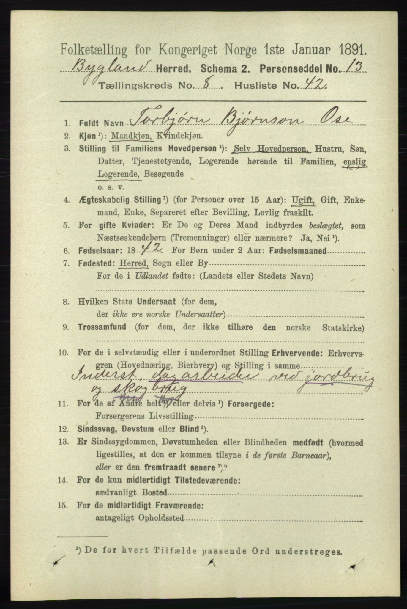 RA, 1891 census for 0938 Bygland, 1891, p. 2177