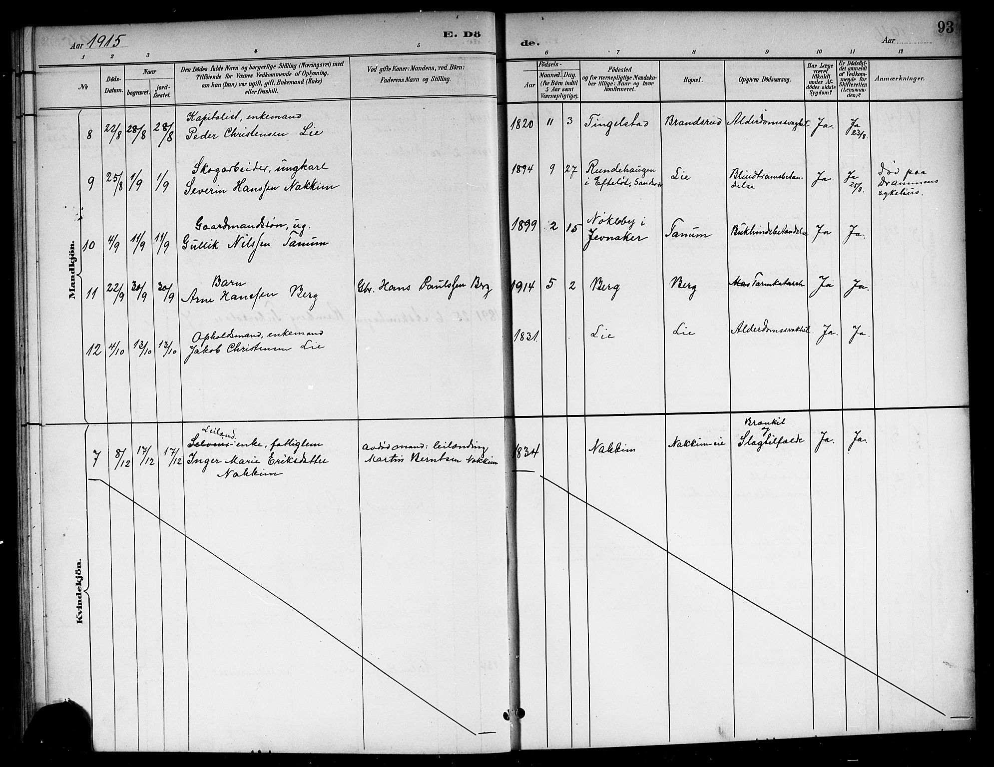 Lardal kirkebøker, SAKO/A-350/G/Ga/L0002: Parish register (copy) no. I 2, 1901-1916, p. 93
