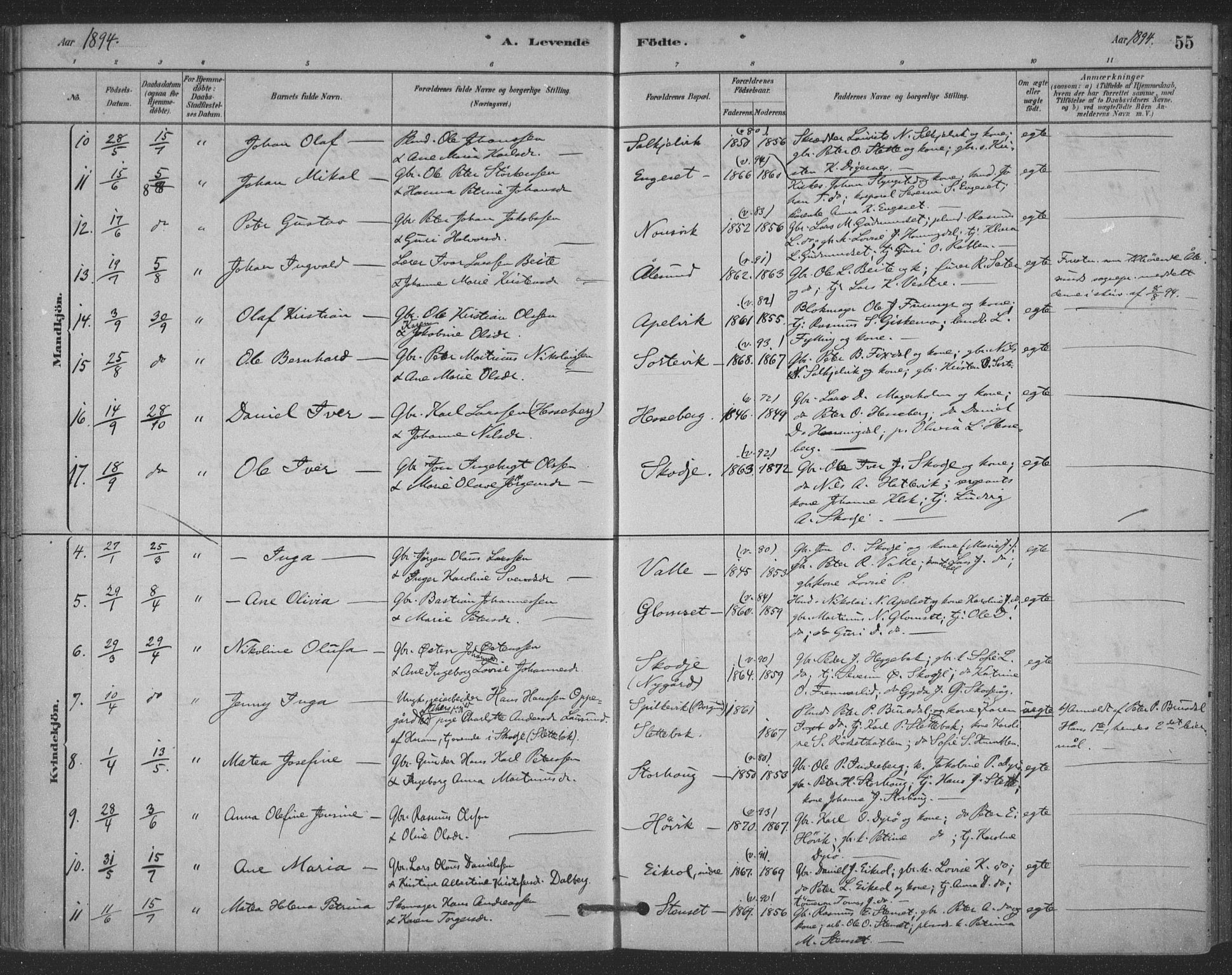 Ministerialprotokoller, klokkerbøker og fødselsregistre - Møre og Romsdal, AV/SAT-A-1454/524/L0356: Parish register (official) no. 524A08, 1880-1899, p. 55