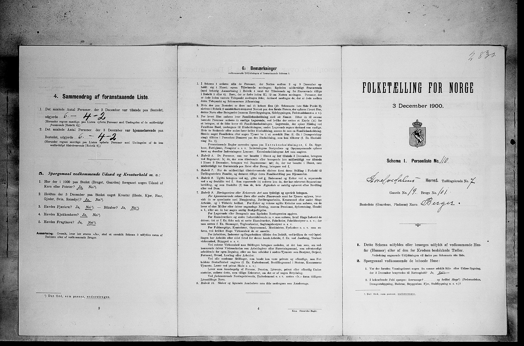 SAH, 1900 census for Stor-Elvdal, 1900, p. 972