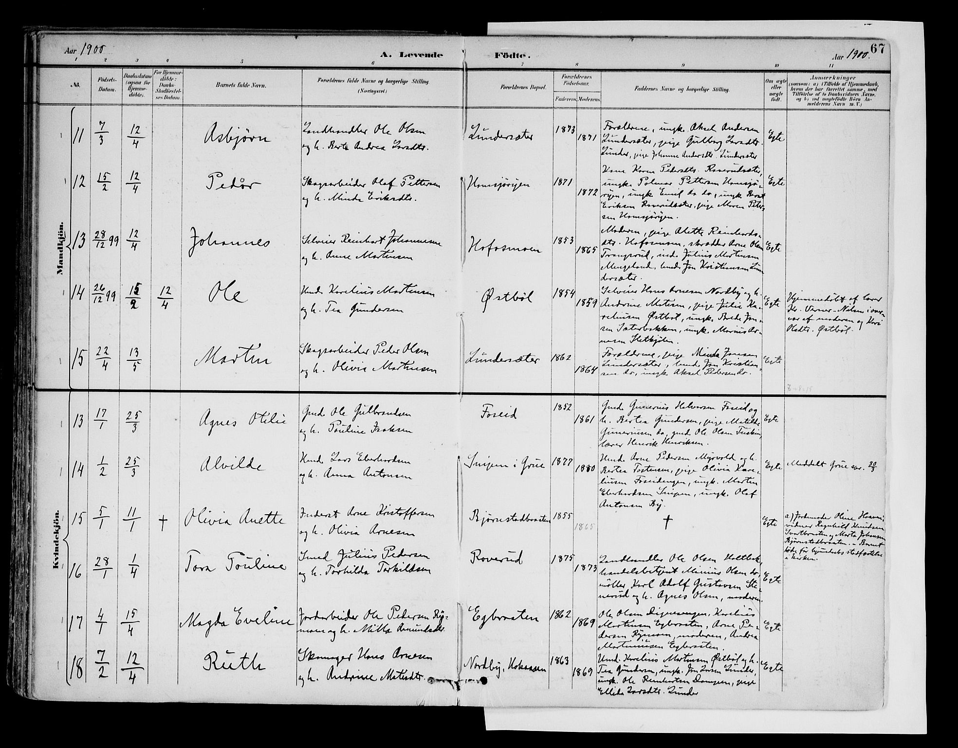 Brandval prestekontor, SAH/PREST-034/H/Ha/Haa/L0003: Parish register (official) no. 3, 1894-1909, p. 67