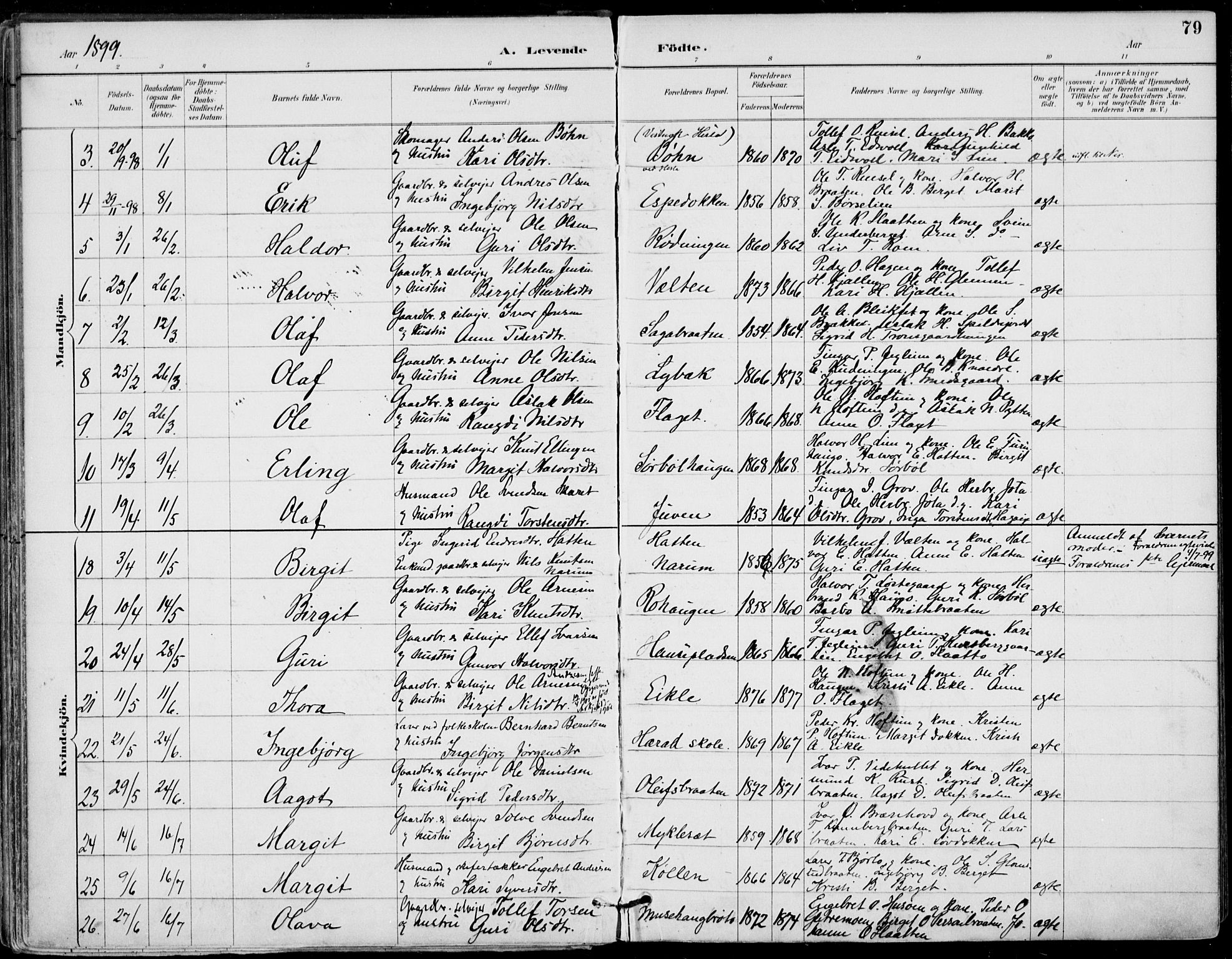 Gol kirkebøker, AV/SAKO-A-226/F/Fa/L0005: Parish register (official) no. I 5, 1887-1900, p. 79