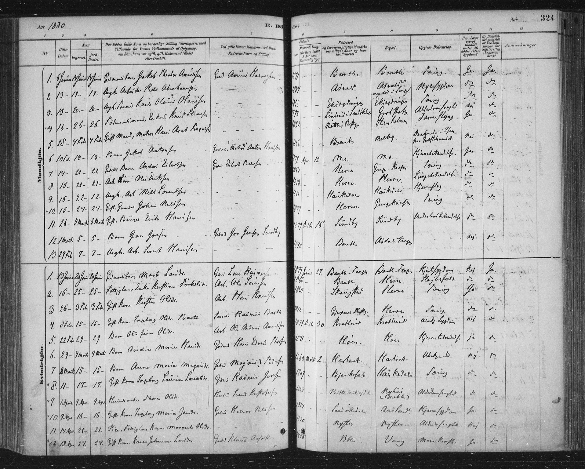 Bamble kirkebøker, SAKO/A-253/F/Fa/L0007: Parish register (official) no. I 7, 1878-1888, p. 324