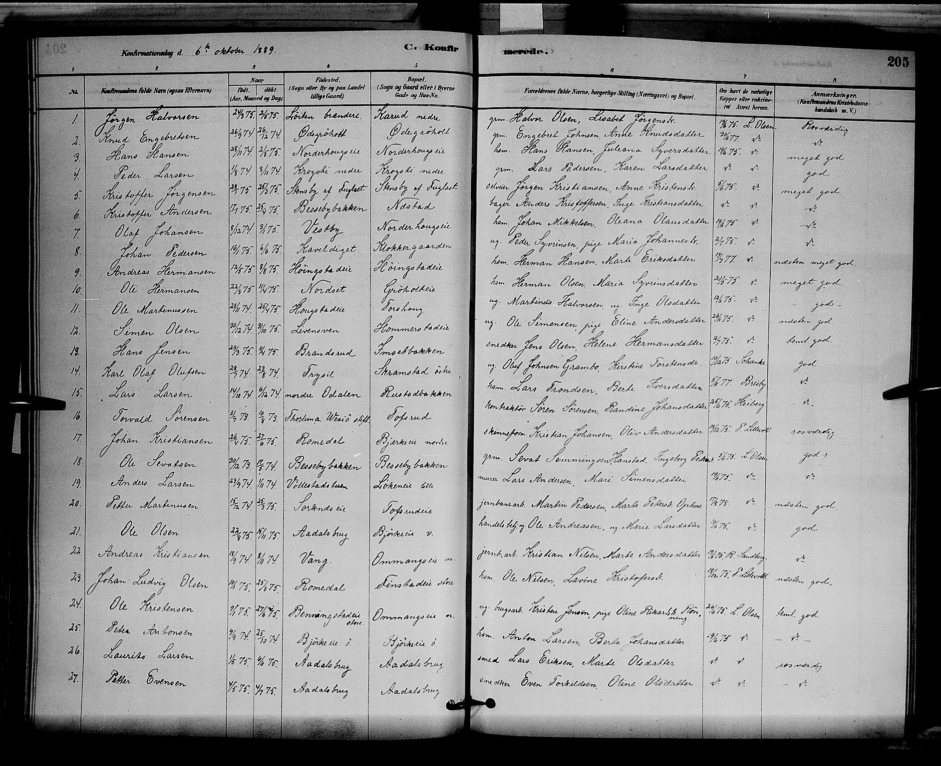 Løten prestekontor, SAH/PREST-022/L/La/L0005: Parish register (copy) no. 5, 1878-1891, p. 205