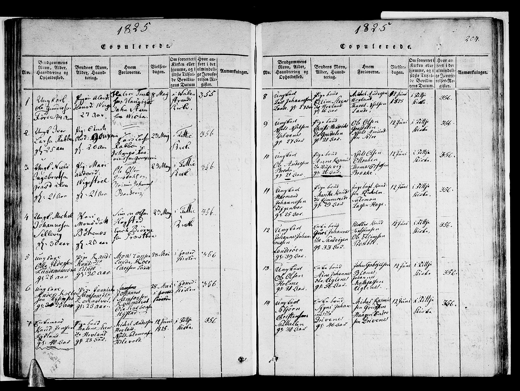 Stord sokneprestembete, SAB/A-78201/H/Haa: Parish register (official) no. A 5, 1816-1825, p. 204