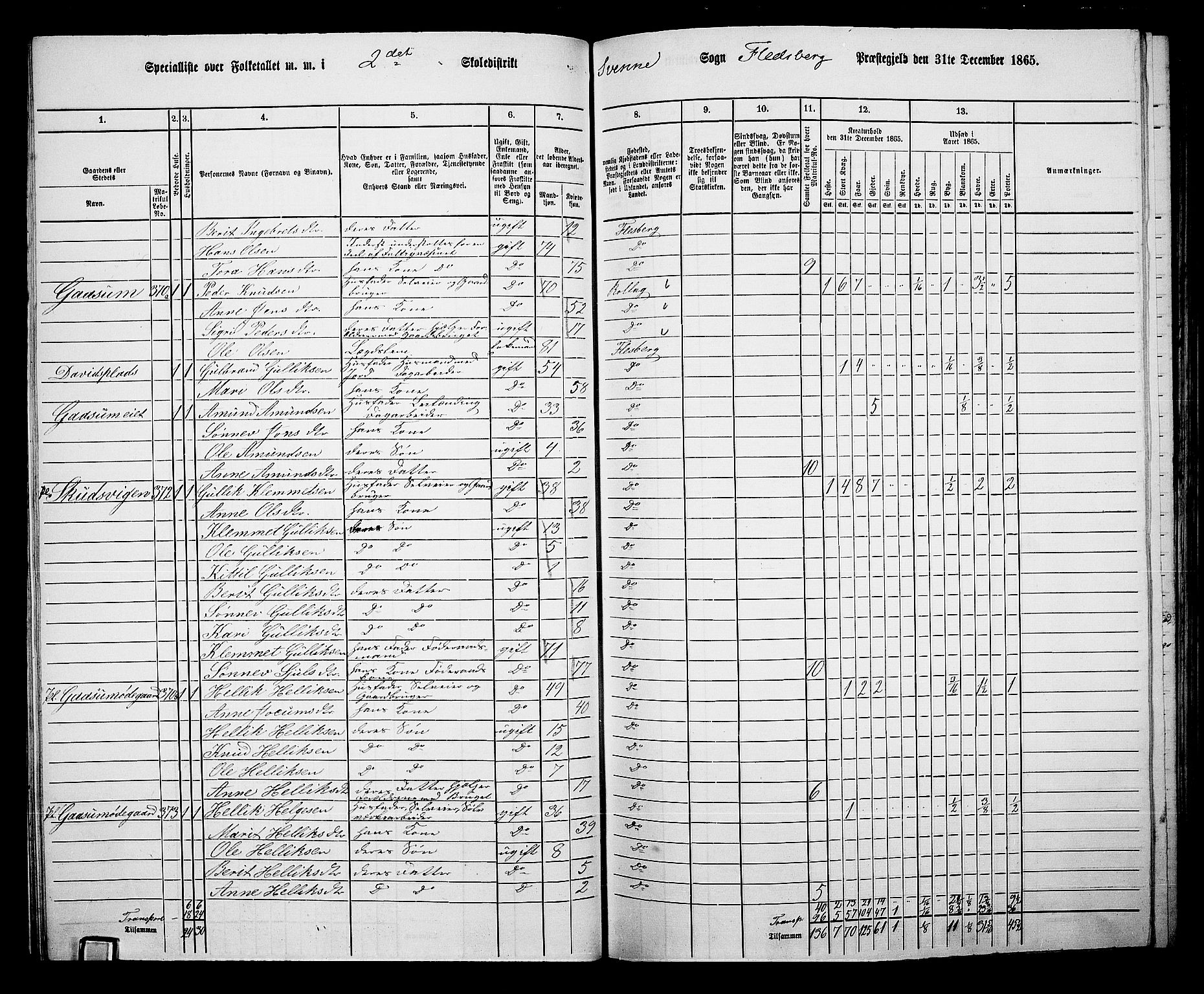 RA, 1865 census for Flesberg, 1865, p. 57