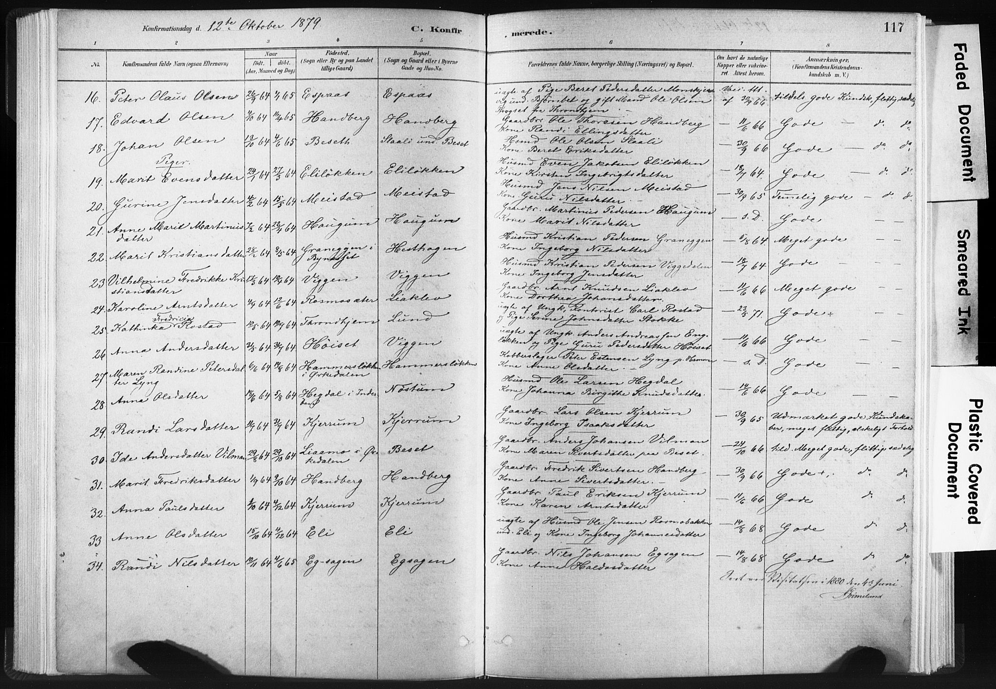 Ministerialprotokoller, klokkerbøker og fødselsregistre - Sør-Trøndelag, SAT/A-1456/665/L0773: Parish register (official) no. 665A08, 1879-1905, p. 117