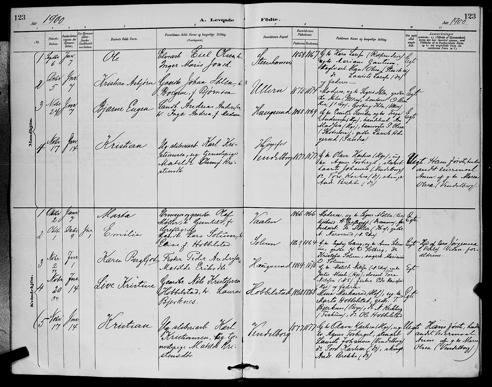 Eiker kirkebøker, SAKO/A-4/G/Ga/L0007: Parish register (copy) no. I 7, 1893-1902, p. 123