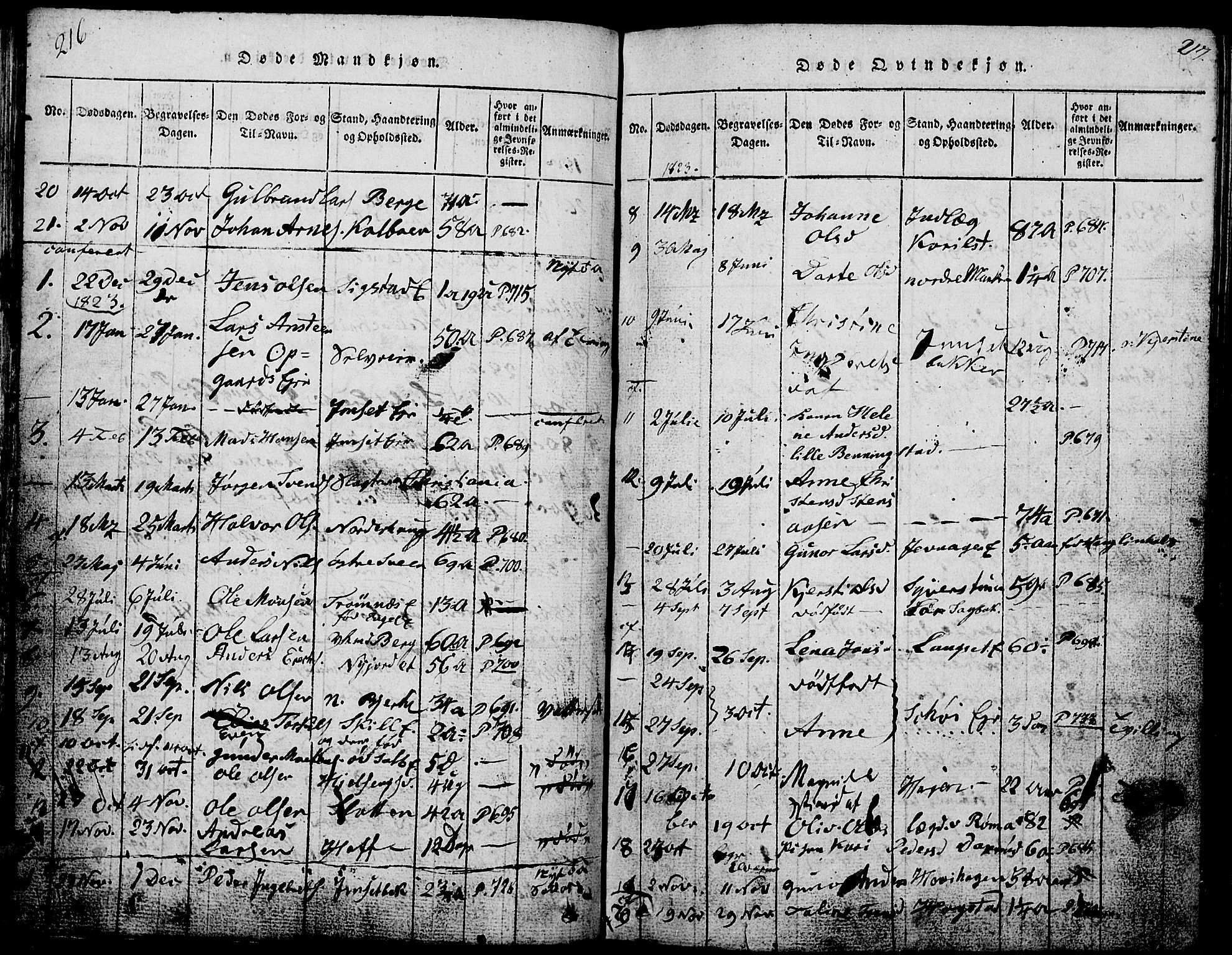 Løten prestekontor, AV/SAH-PREST-022/L/La/L0001: Parish register (copy) no. 1, 1812-1832, p. 216-217