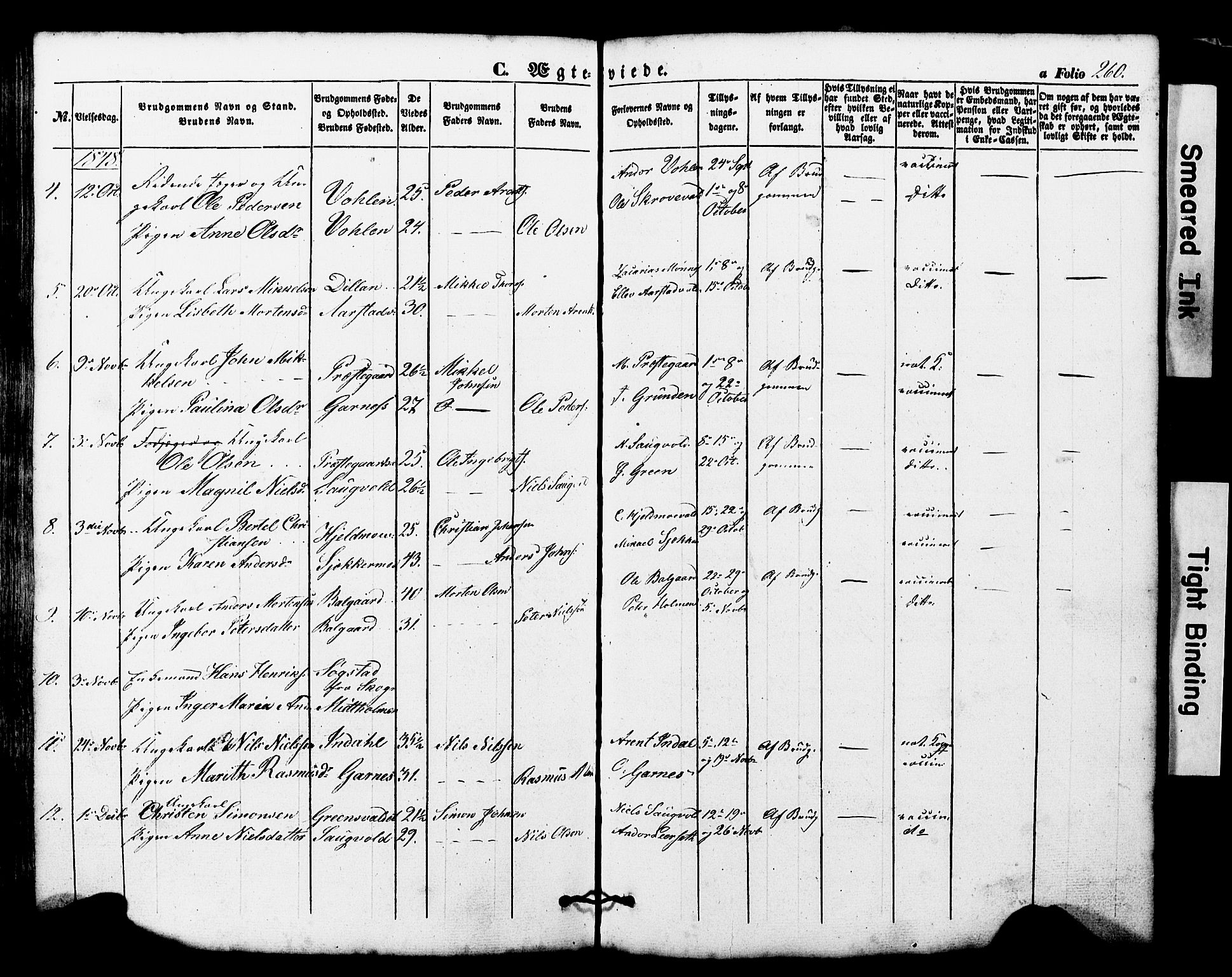 Ministerialprotokoller, klokkerbøker og fødselsregistre - Nord-Trøndelag, SAT/A-1458/724/L0268: Parish register (copy) no. 724C04, 1846-1878, p. 260