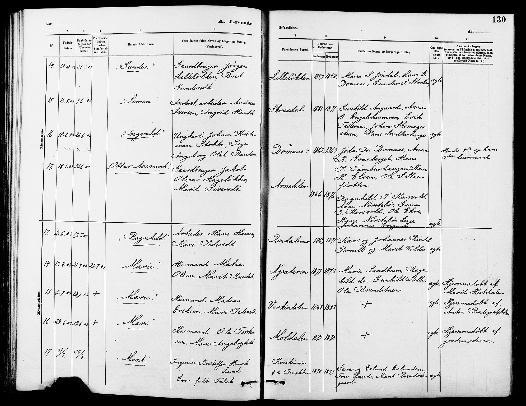 Dovre prestekontor, AV/SAH-PREST-066/H/Ha/Hab/L0002: Parish register (copy) no. 2, 1881-1907, p. 130